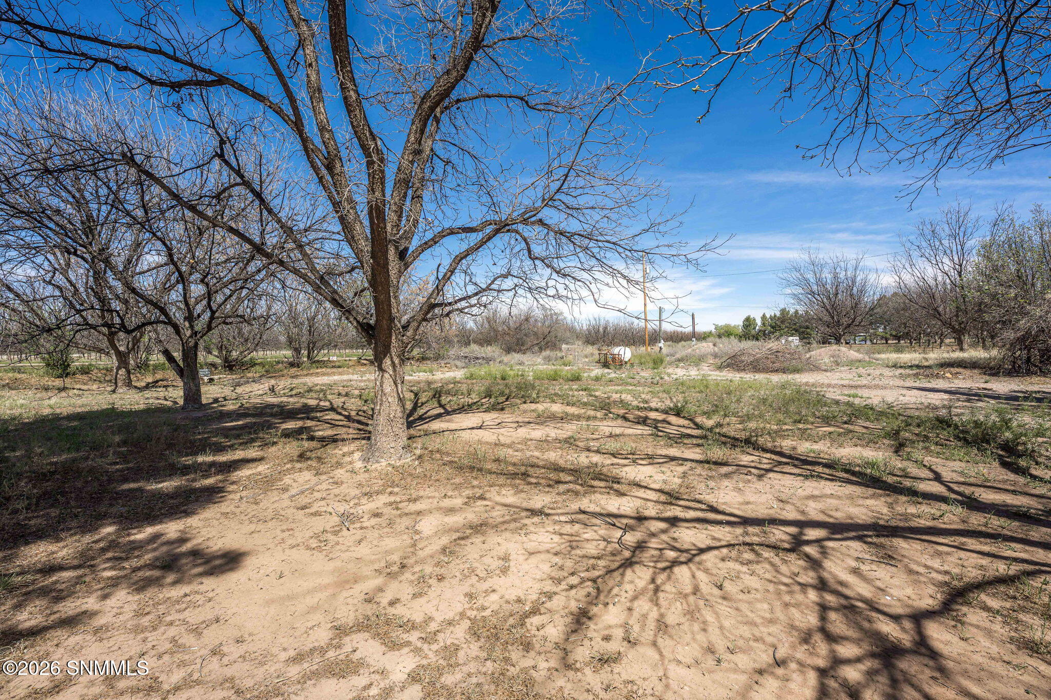 215 Polvadera Avenue Property Photo 47