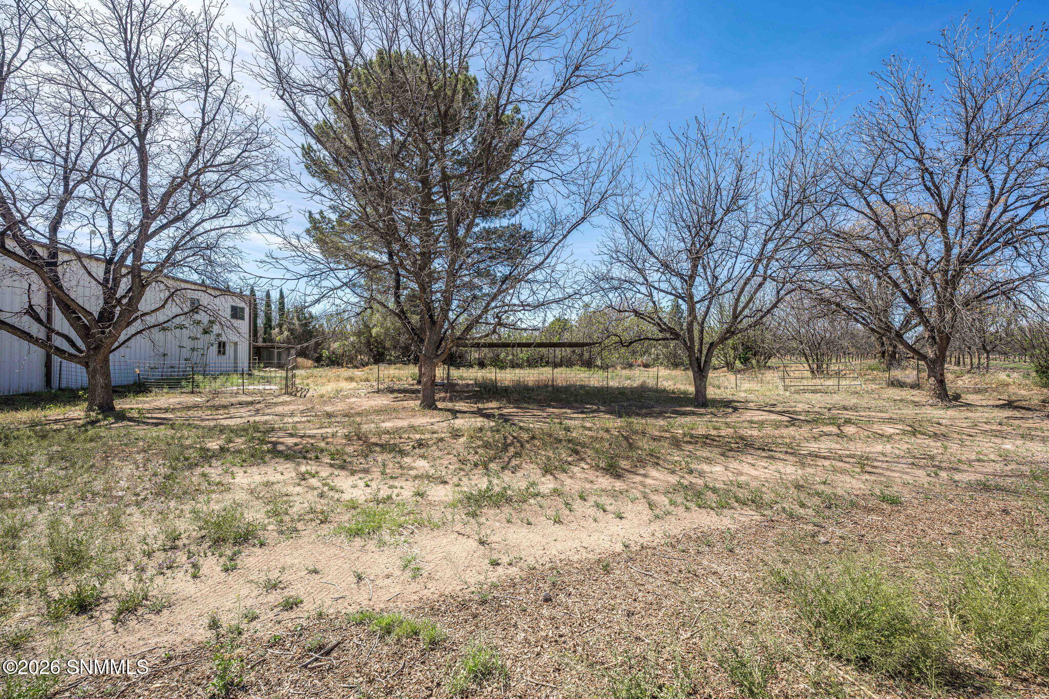 215 Polvadera Avenue Property Photo 48