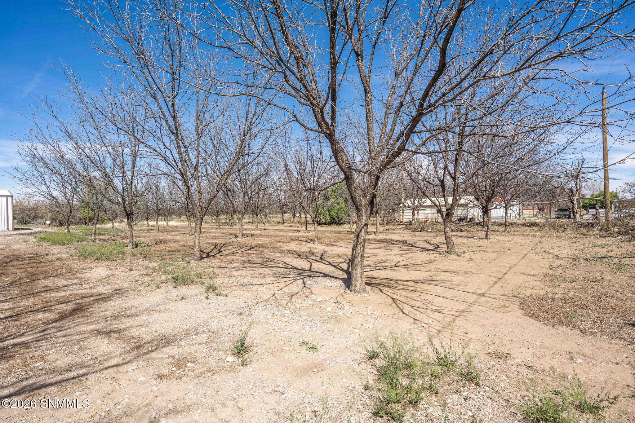 215 Polvadera Avenue Property Photo 50