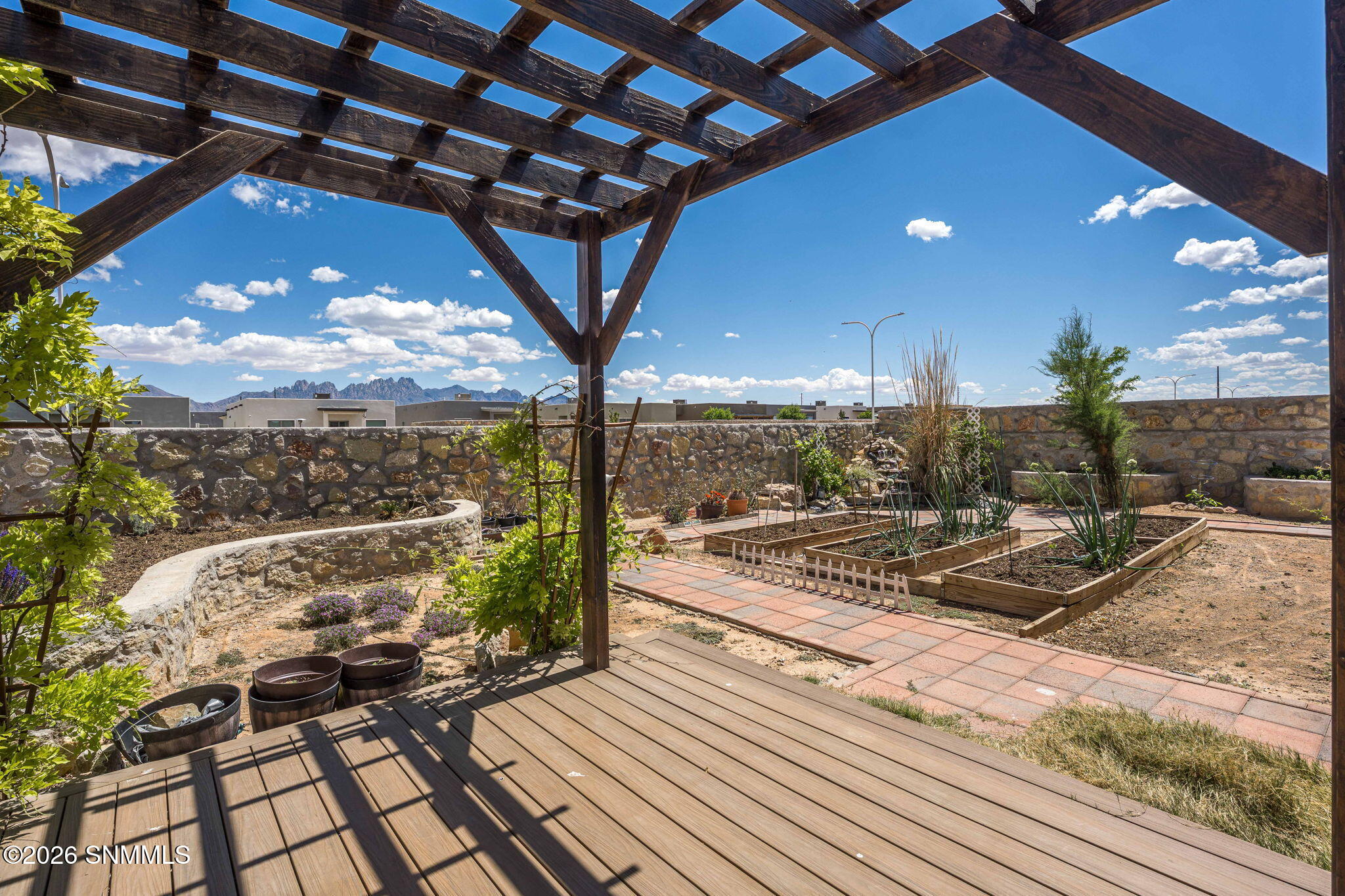6152 Wild Sky Street Property Photo 43