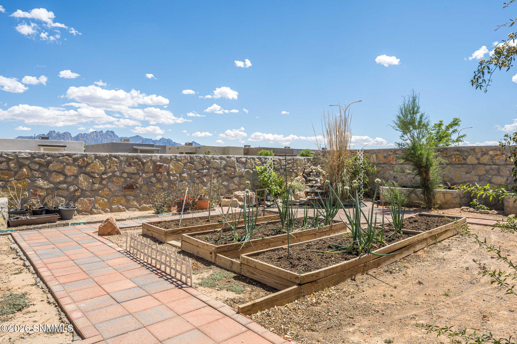 6152 Wild Sky Street Property Photo 44