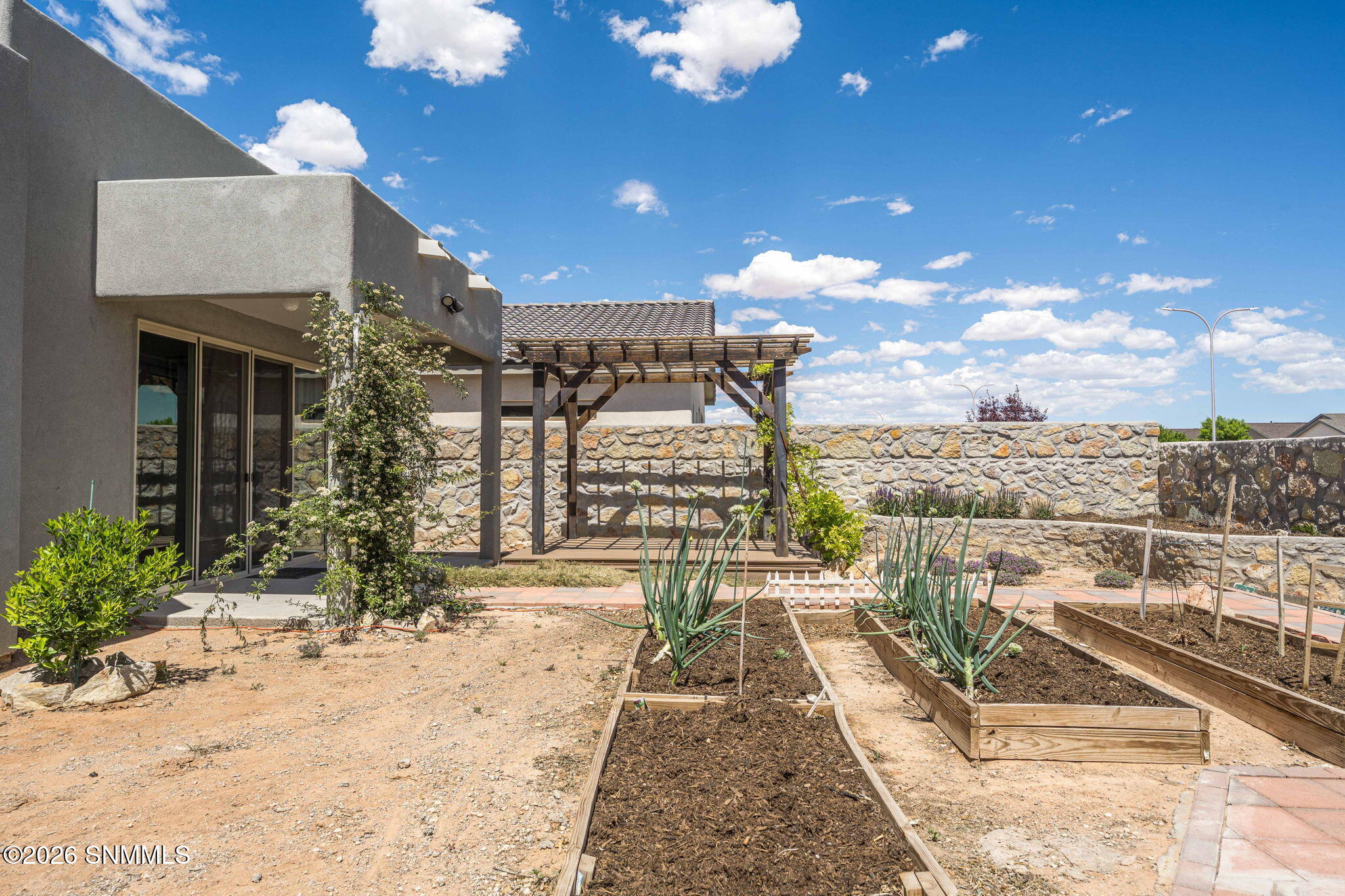 6152 Wild Sky Street Property Photo 52