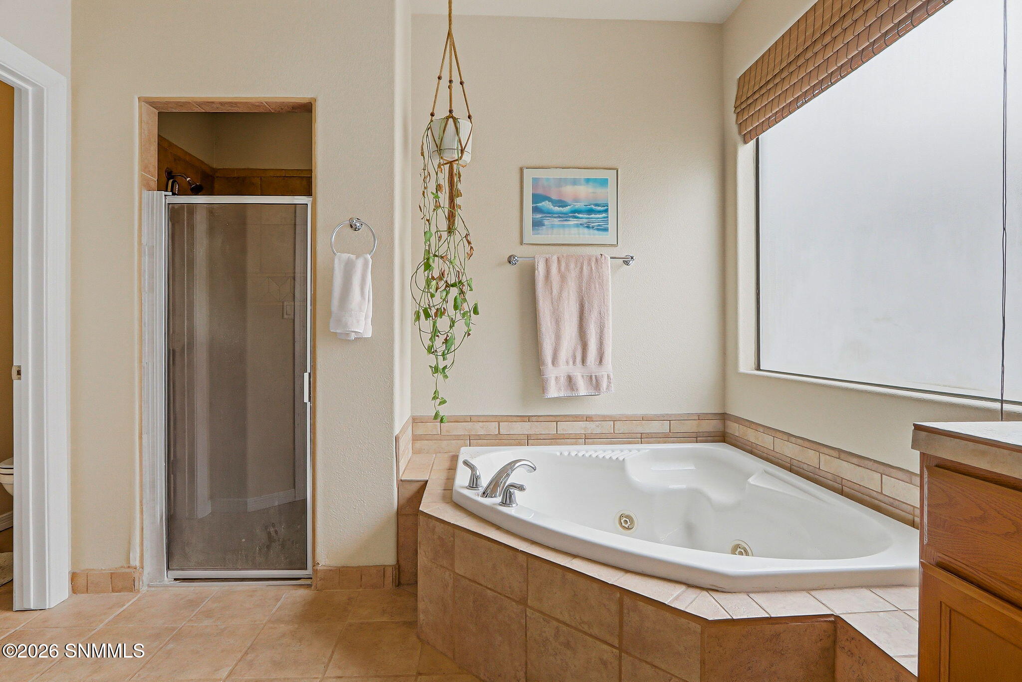 4146 Mojave Drive Property Photo 37