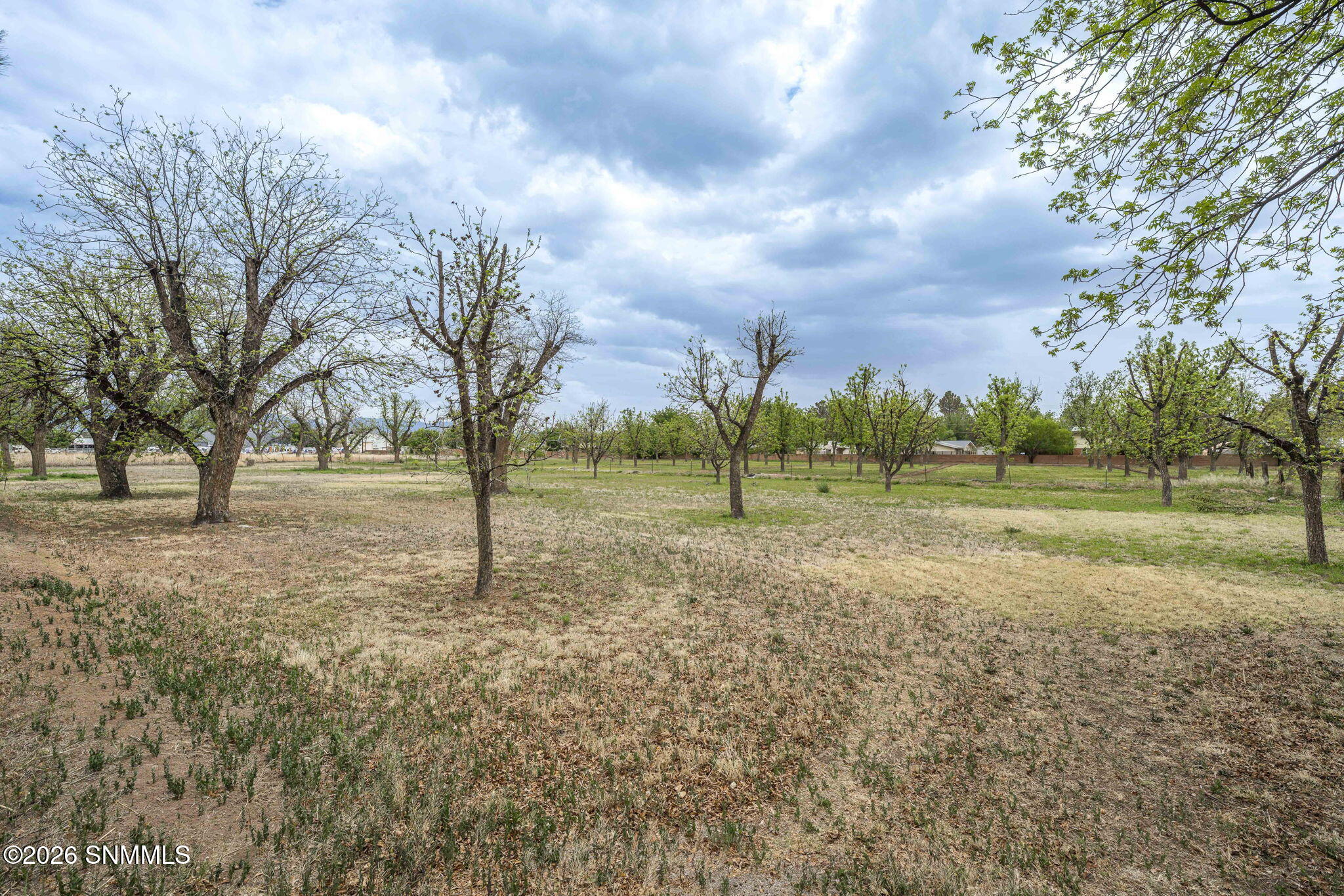 1461 W Brown Road Property Photo 50