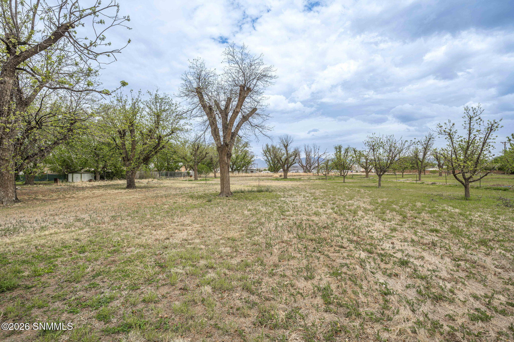 1461 W Brown Road Property Photo 52