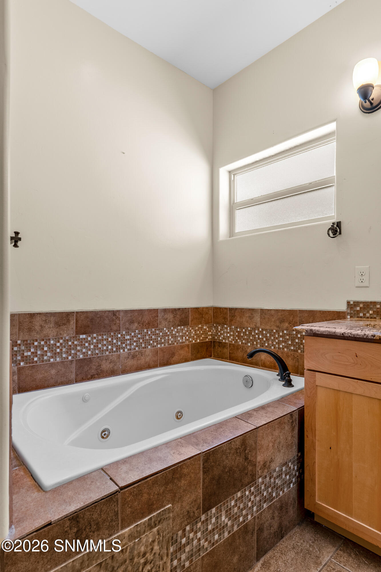 3930 Agua Caliente Drive Property Photo 20
