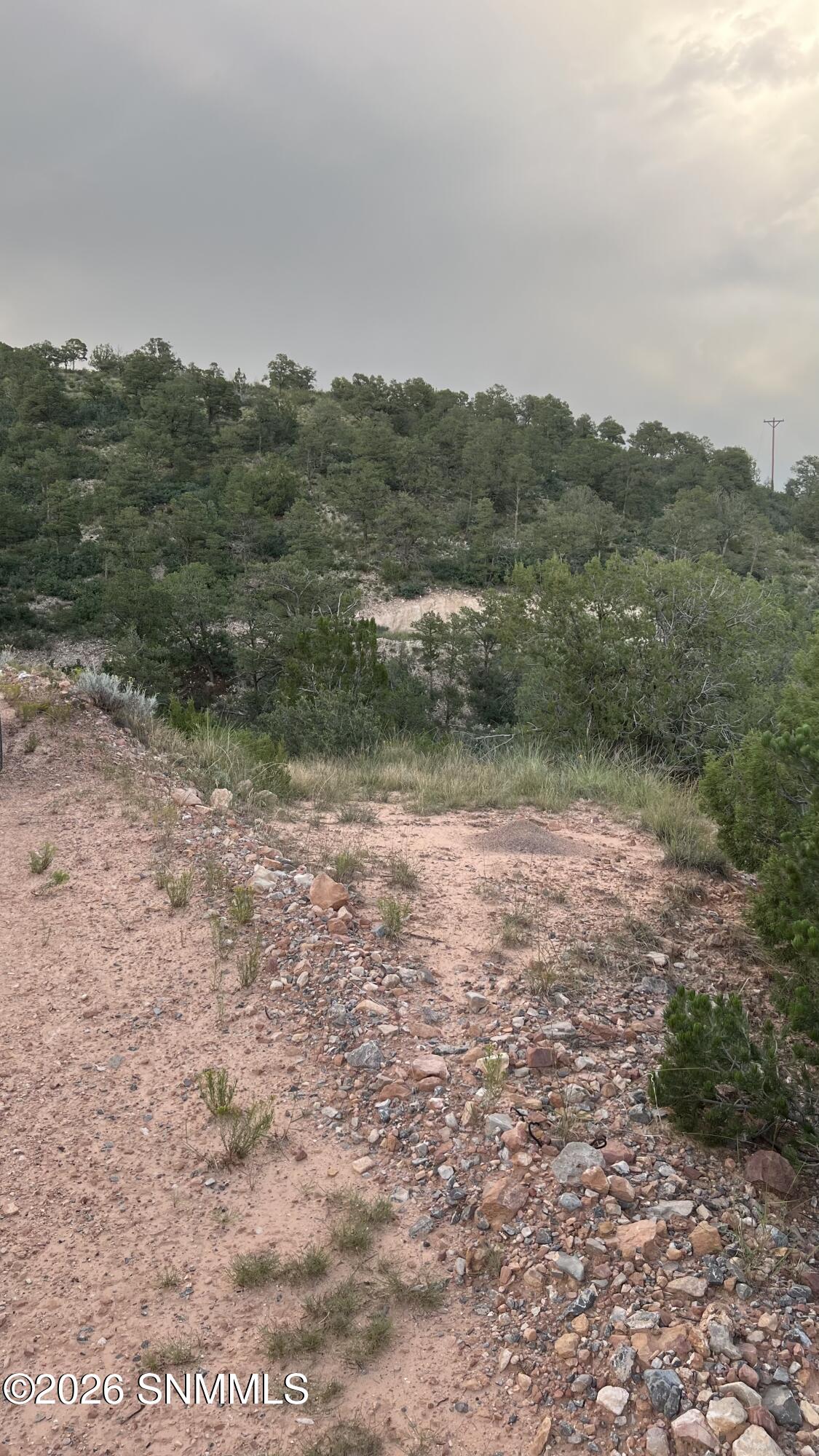 155 Rocky Trail Road Property Photo 5