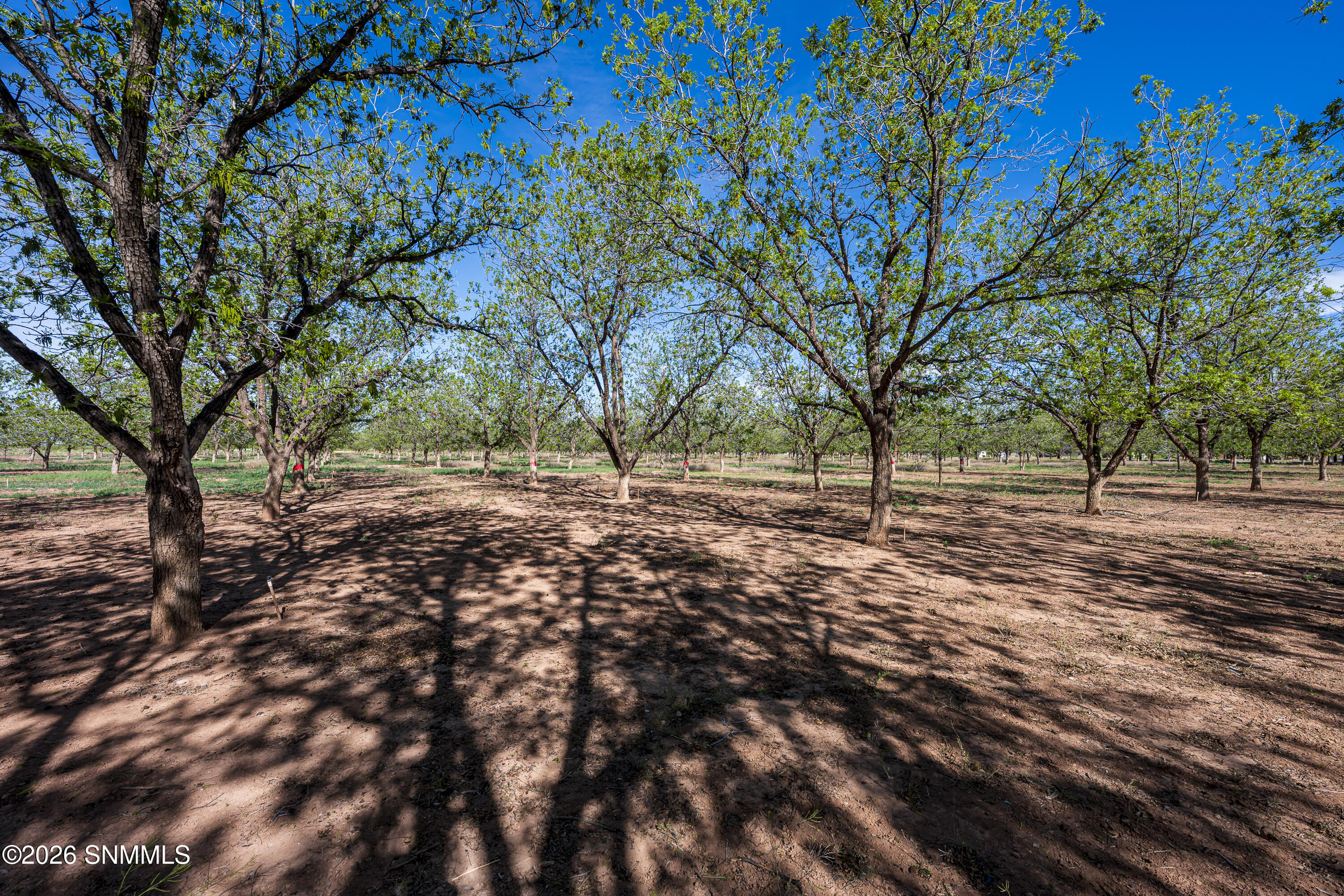 186 Sioux Trail Property Photo 29