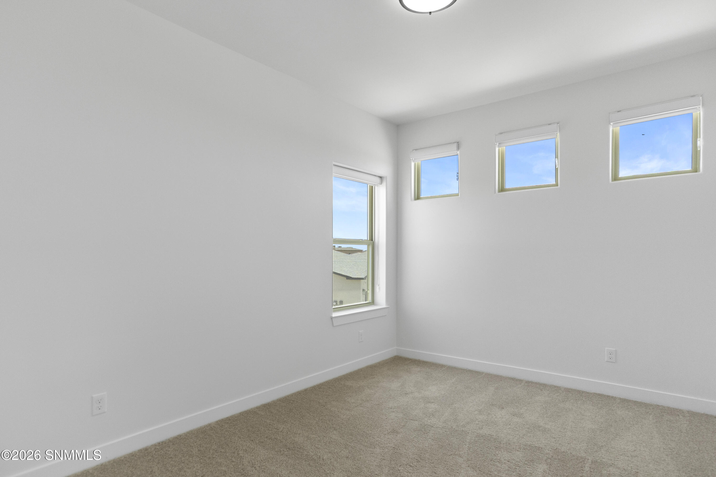 145 Dawson Street Property Photo 23