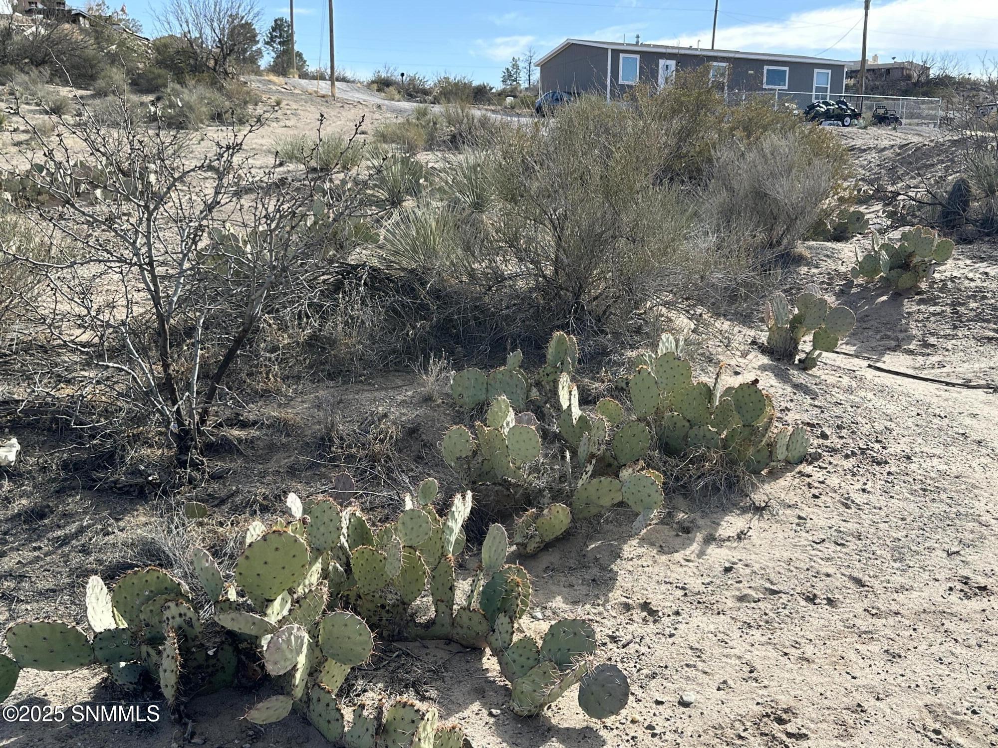 465 Ruby Hills Court Property Photo 27