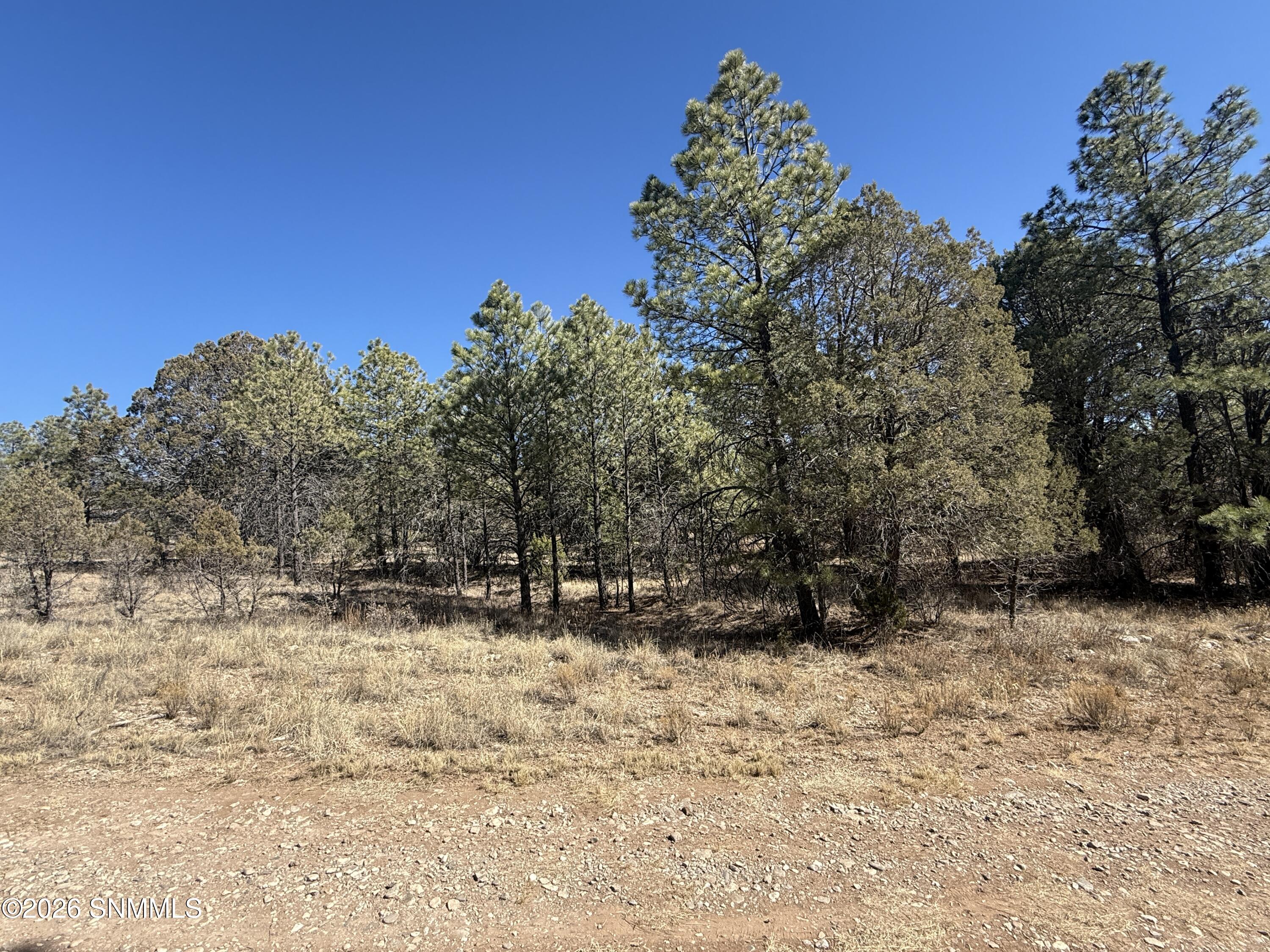 Tbd Eldrado Drive Property Photo 1