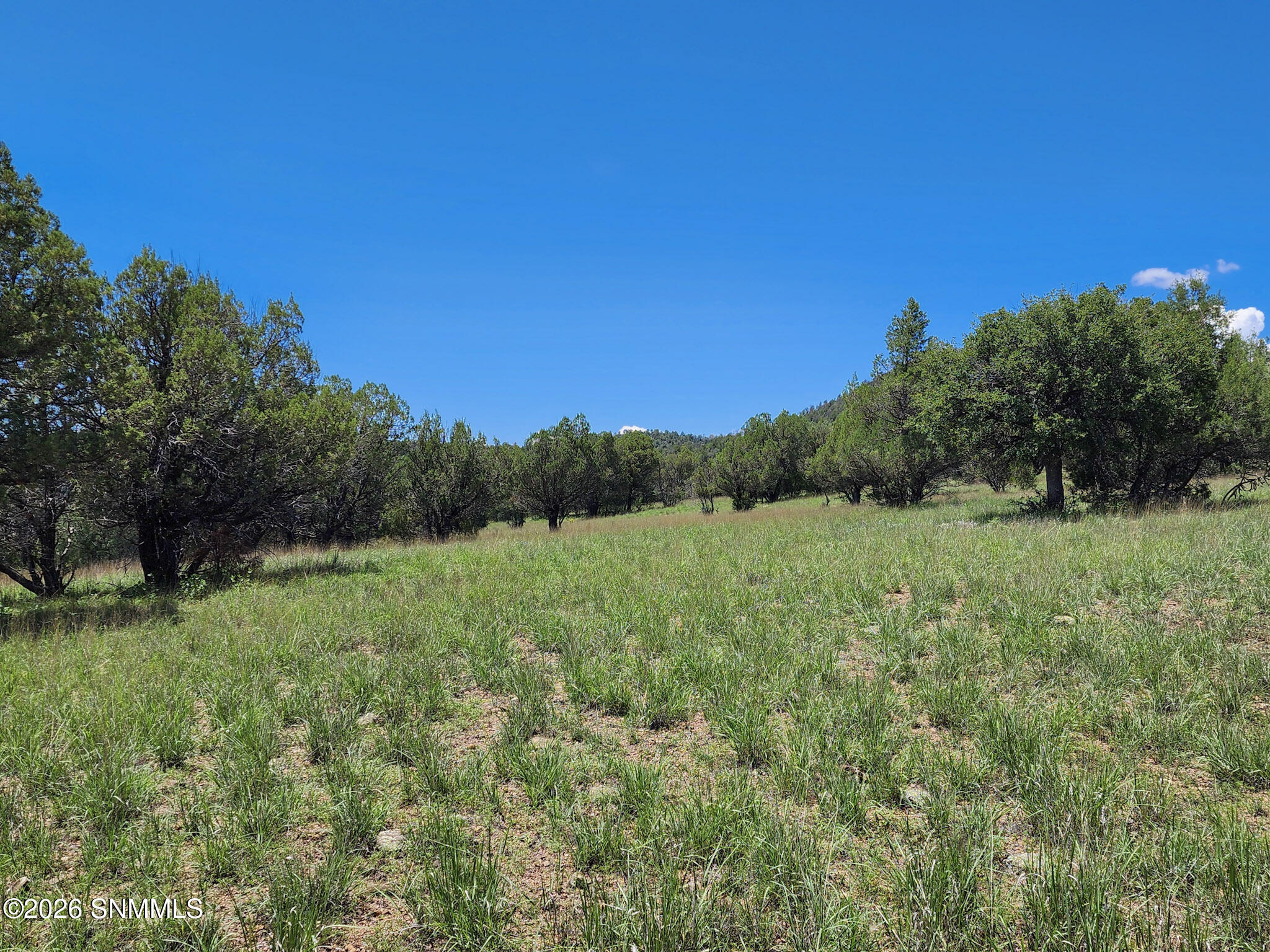Tbd Lot4a Highway 35 Property Photo 4