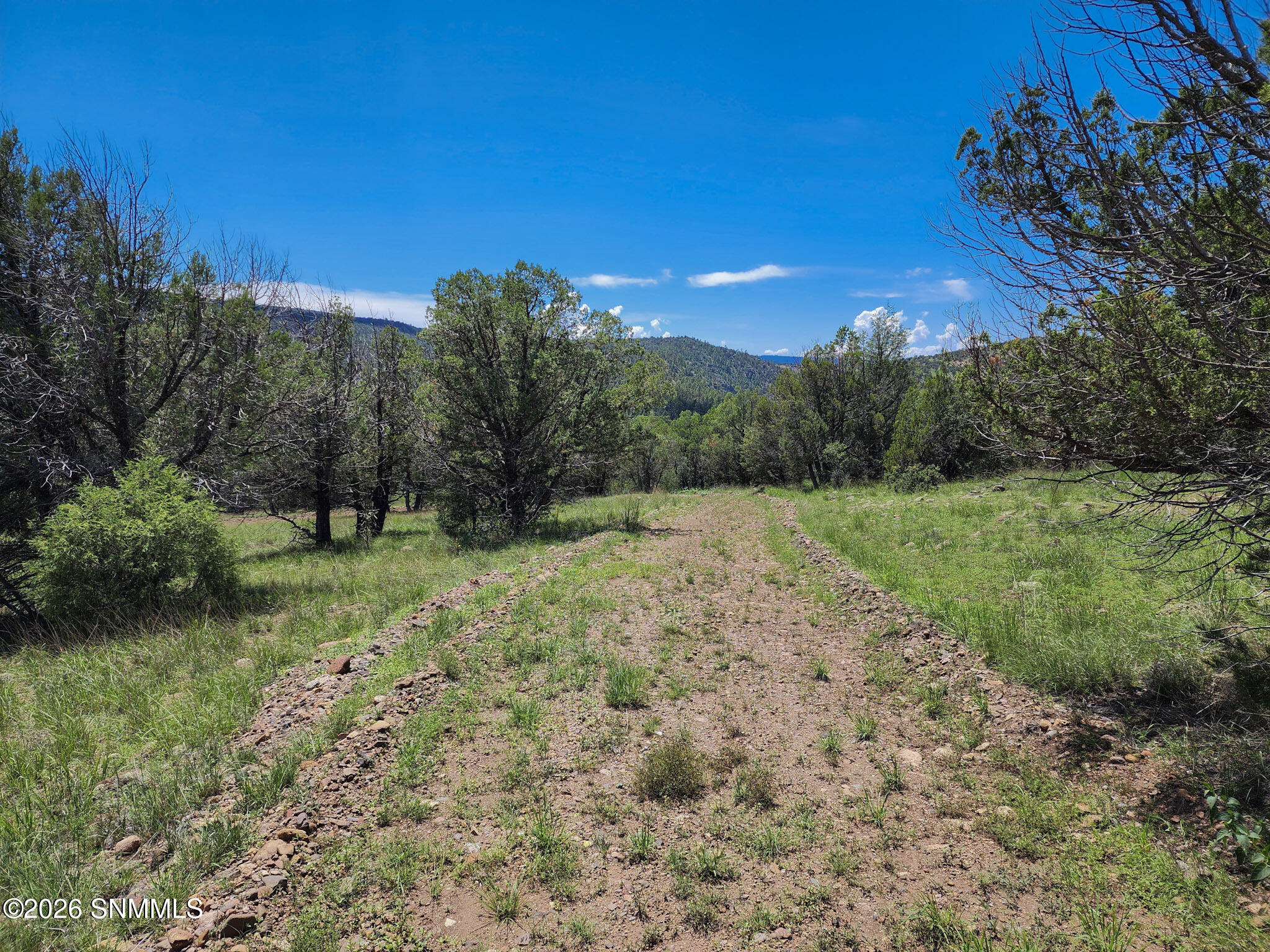 Tbd Lot4a Highway 35 Property Photo 5