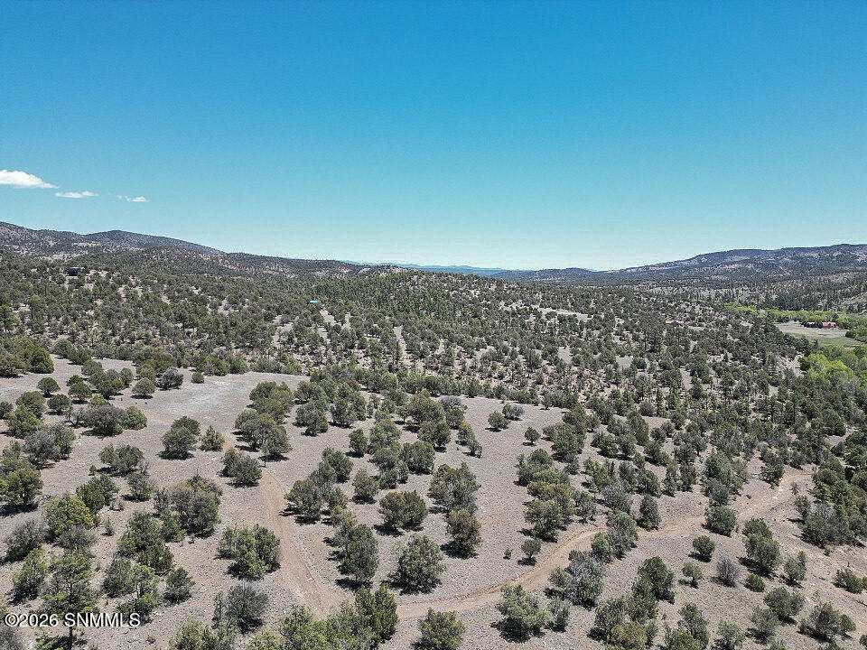 Tbd Lot4a Highway 35 Property Photo 30
