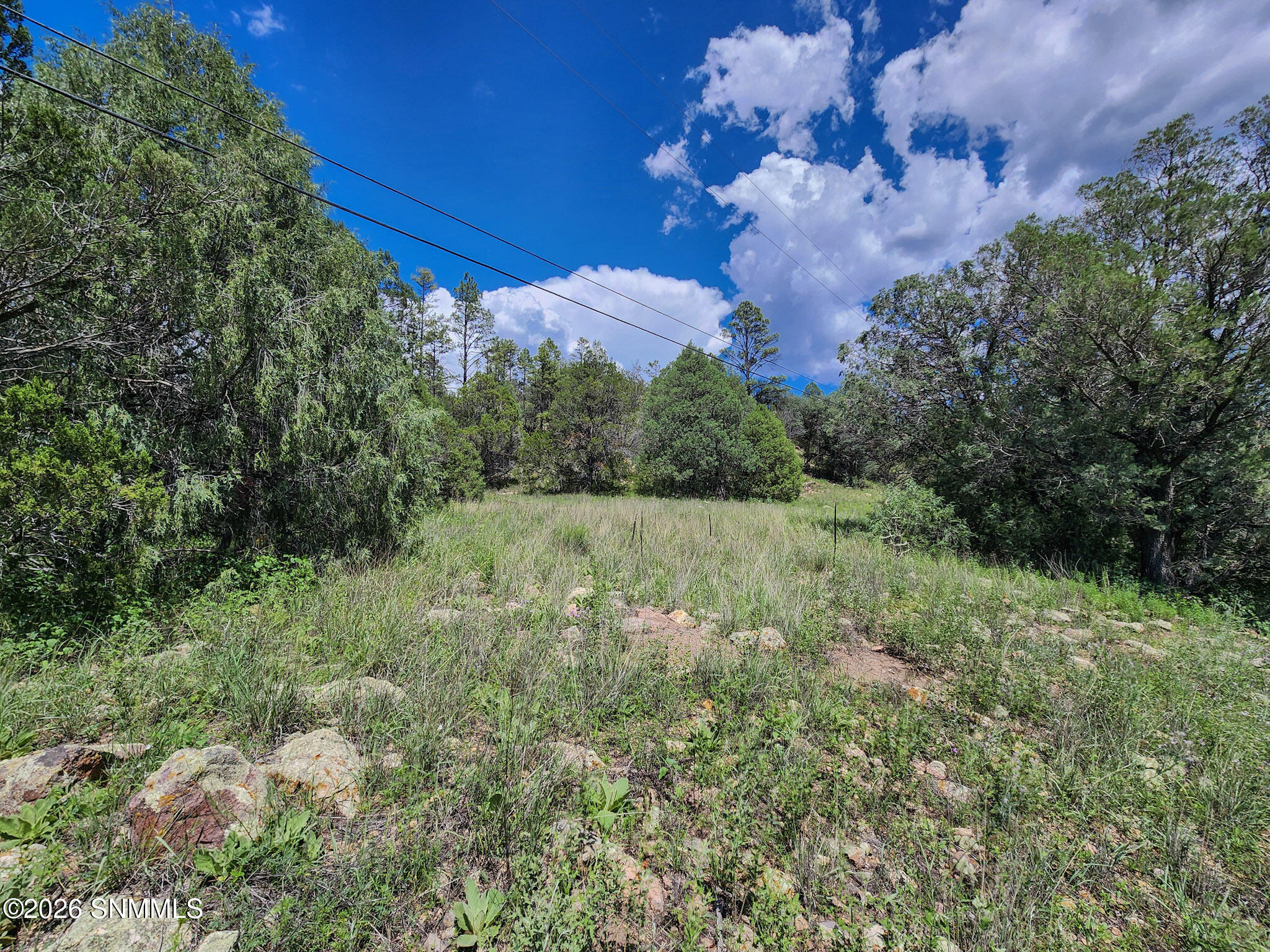 Tbd Lot 5 Highway 35 Property Photo 2