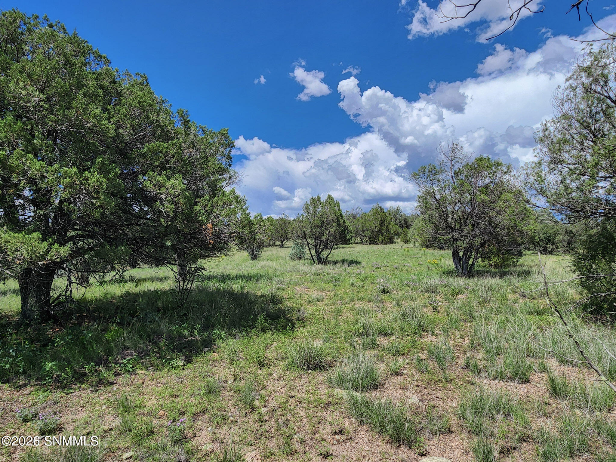 Tbd Lot 5 Highway 35 Property Photo 3
