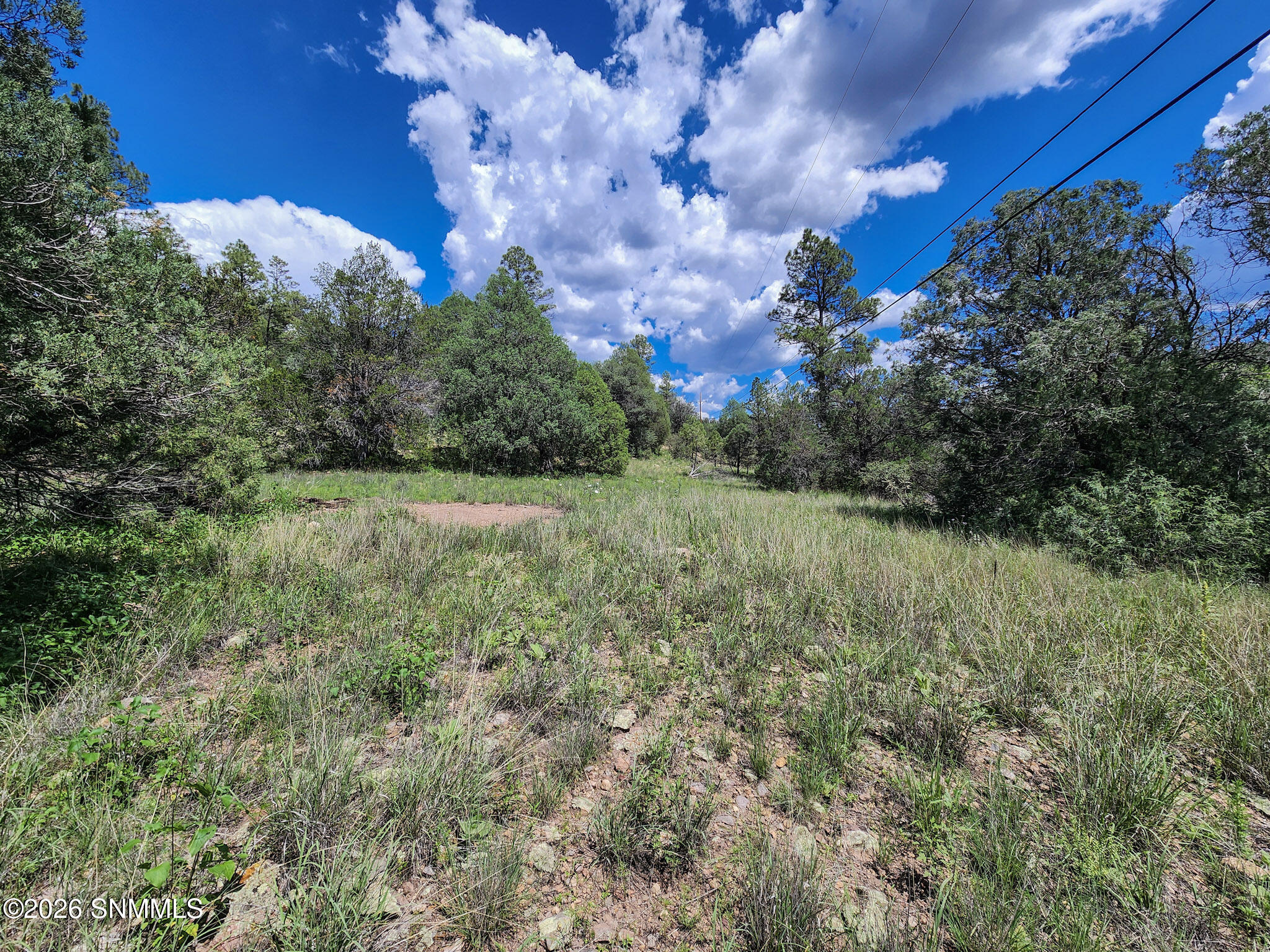 Tbd Lot 5 Highway 35 Property Photo 4