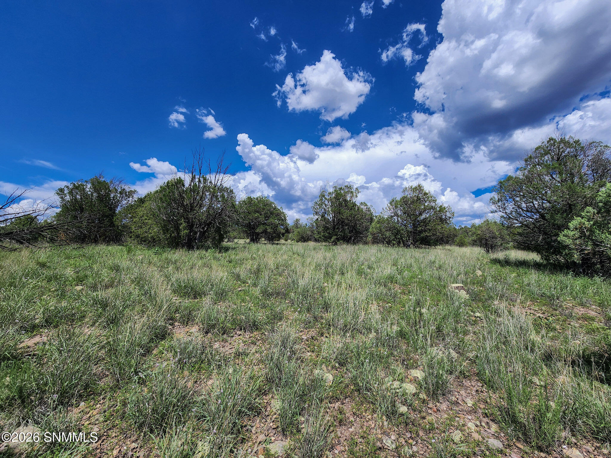 Tbd Lot 5 Highway 35 Property Photo 5