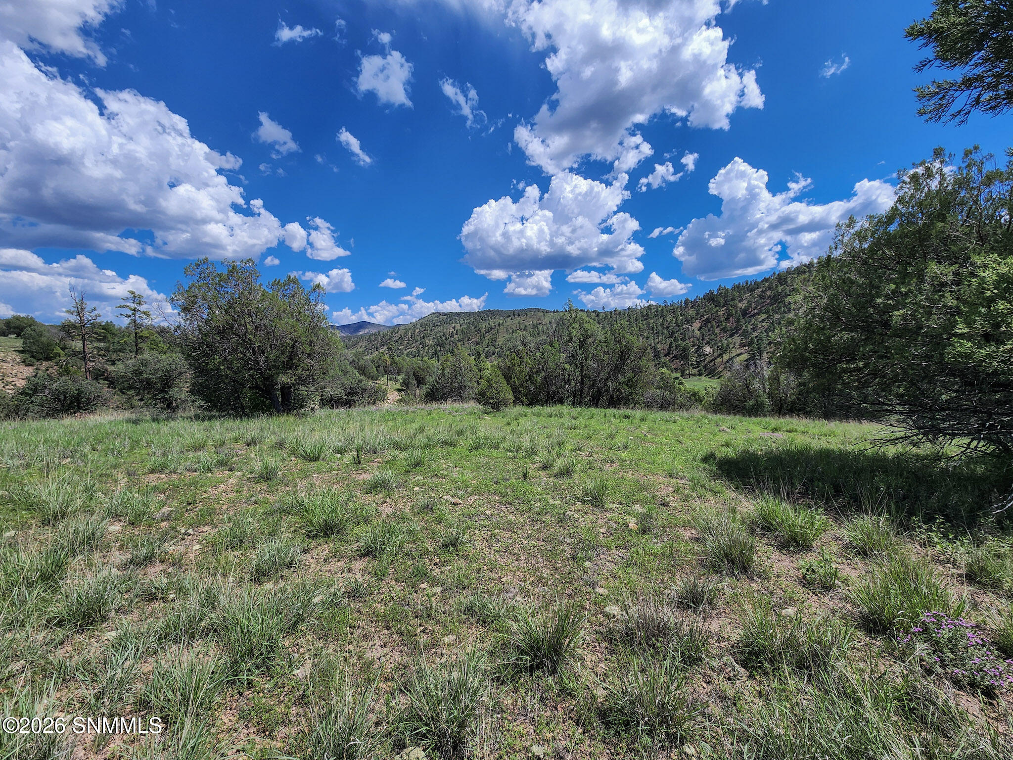Tbd Lot 5 Highway 35 Property Photo 6