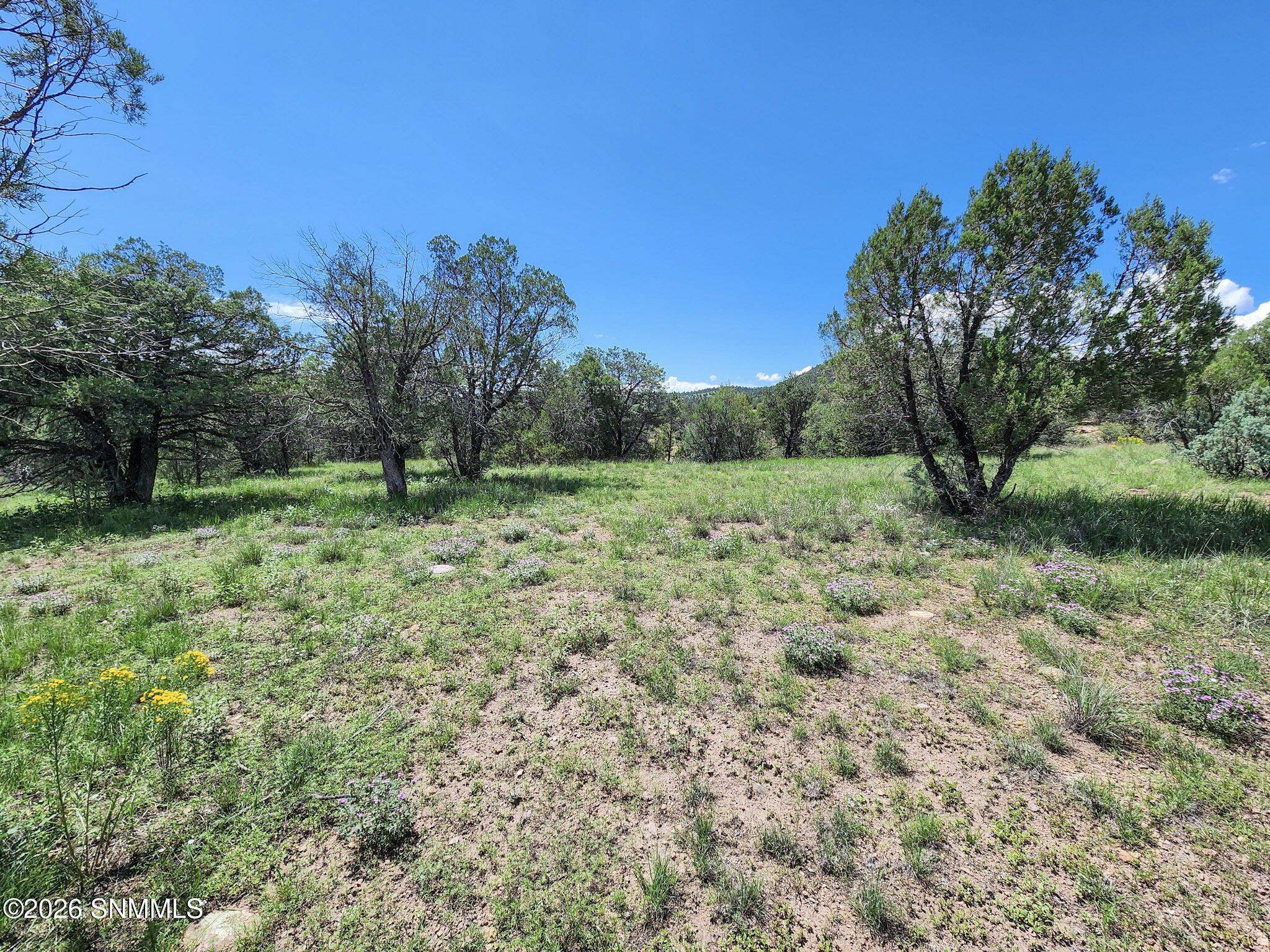 Tbd Lot 5 Highway 35 Property Photo 7