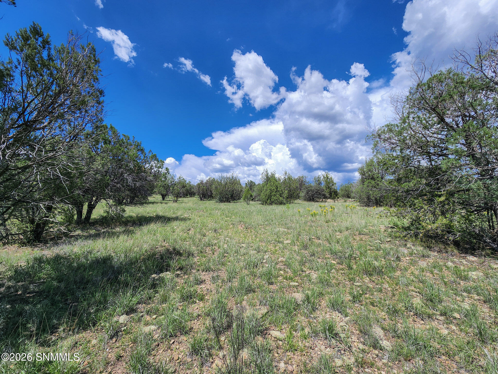 Tbd Lot 5 Highway 35 Property Photo 8