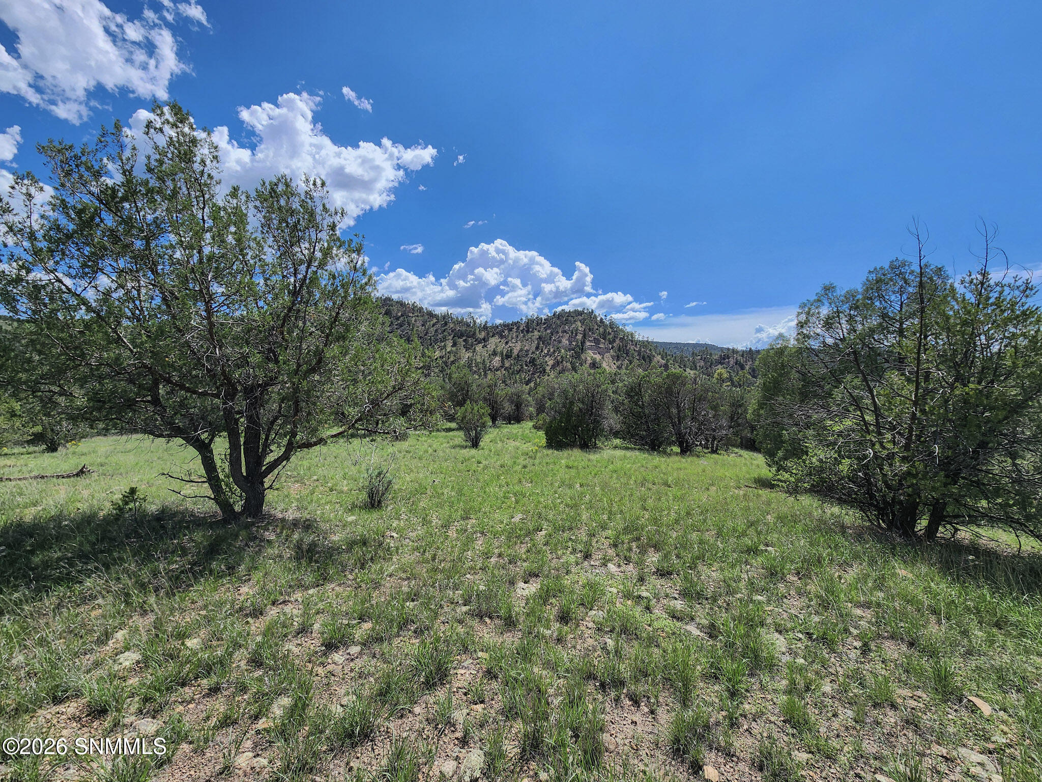 Tbd Lot 5 Highway 35 Property Photo 9