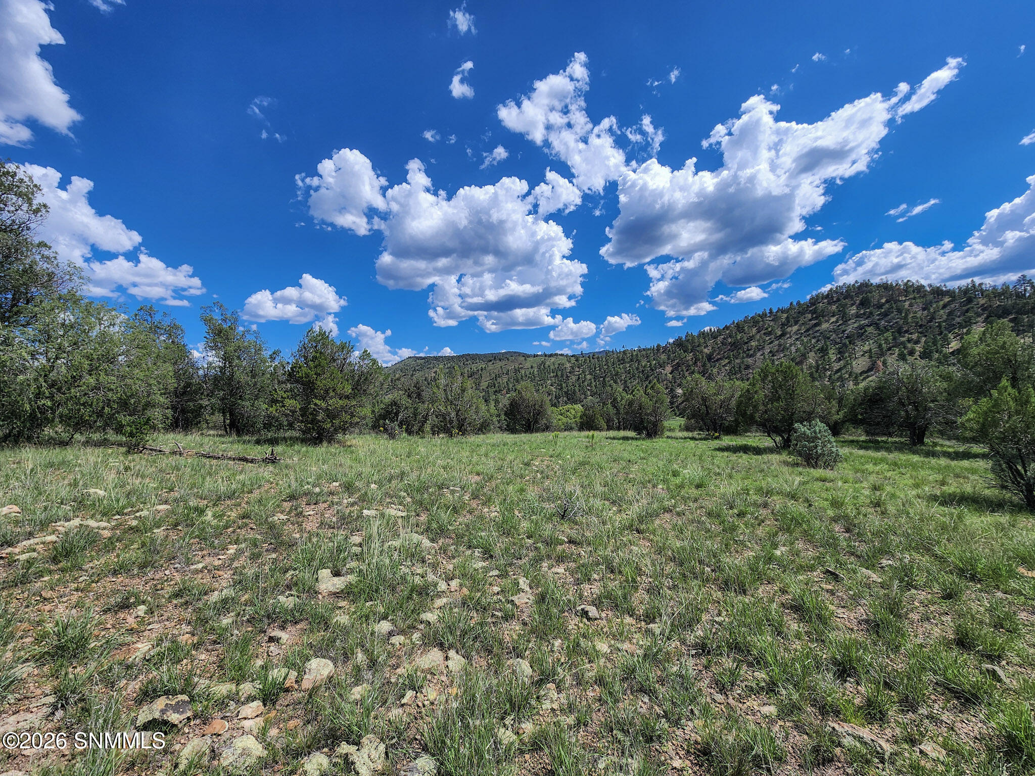 Tbd Lot 5 Highway 35 Property Photo 10
