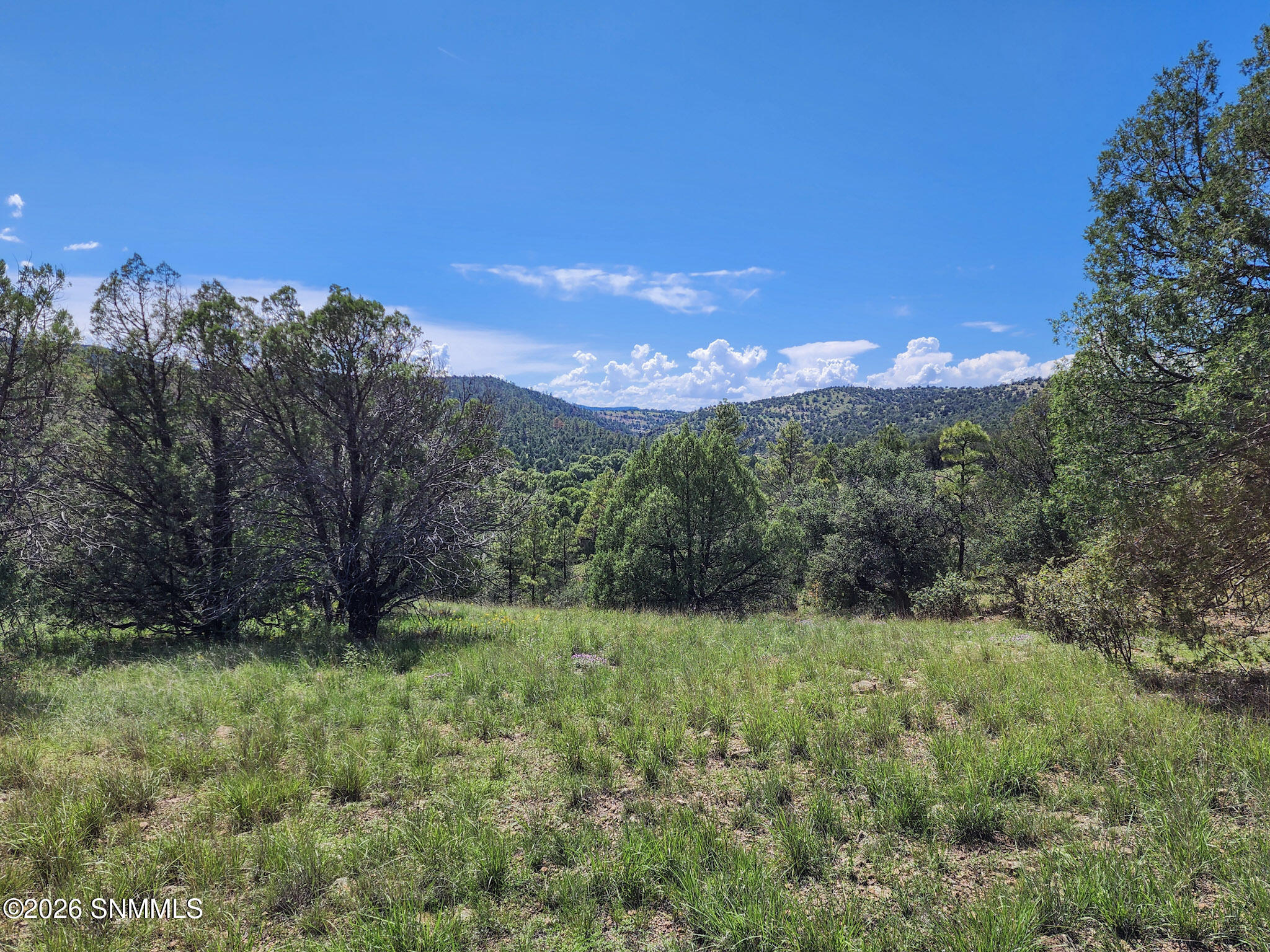 Tbd Lot 5 Highway 35 Property Photo 11