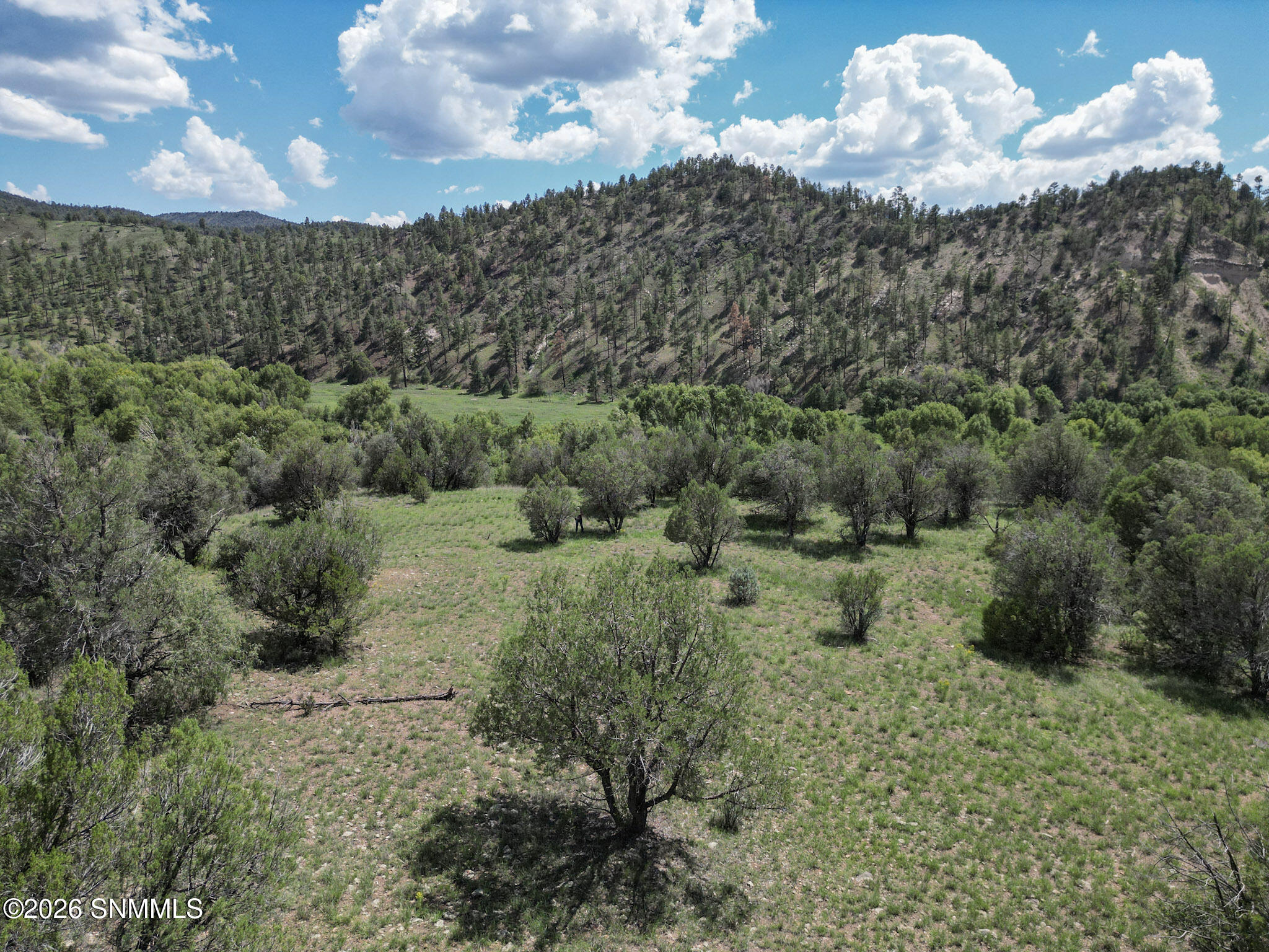 Tbd Lot 5 Highway 35 Property Photo 13