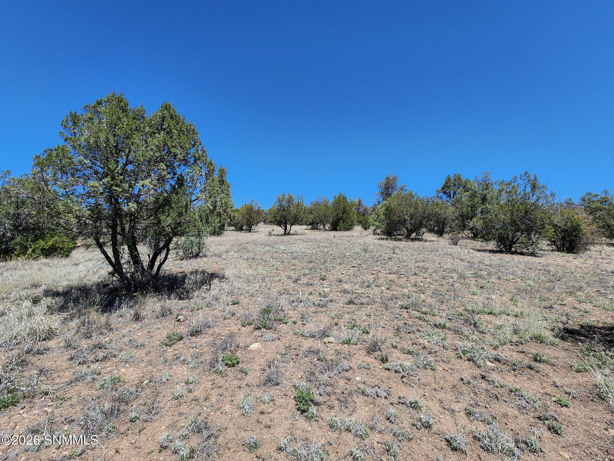 Tbd Lot 5 Highway 35 Property Photo 23