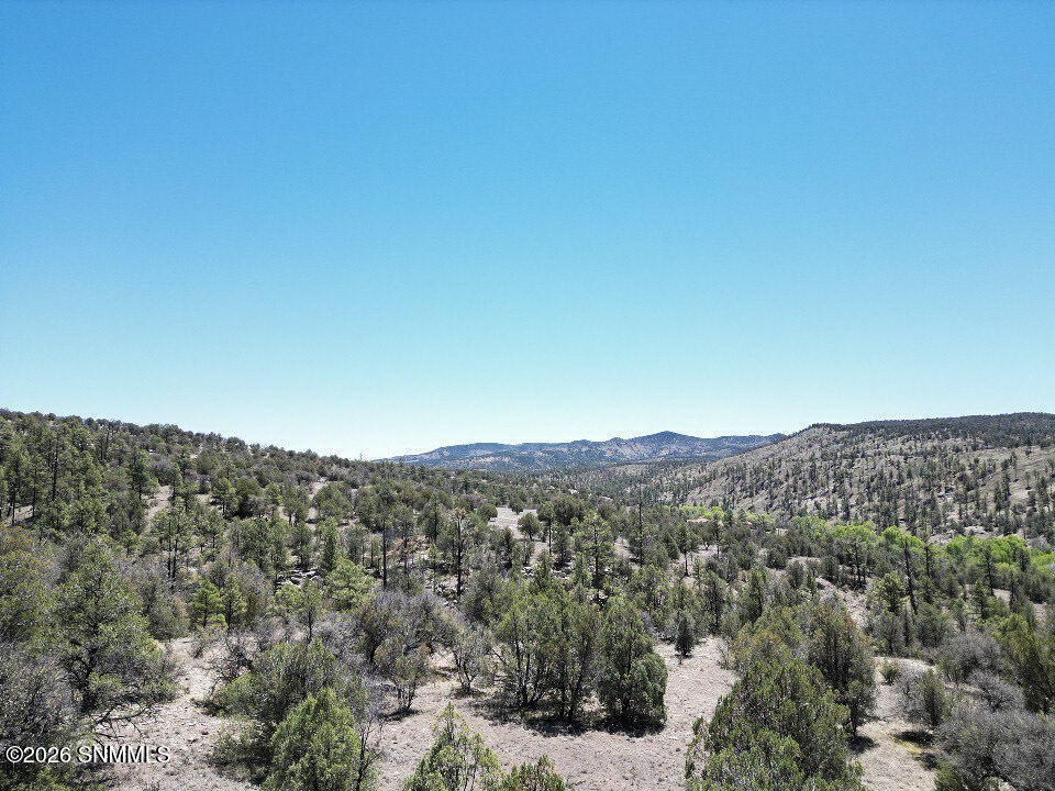 Tbd Lot 5 Highway 35 Property Photo 33