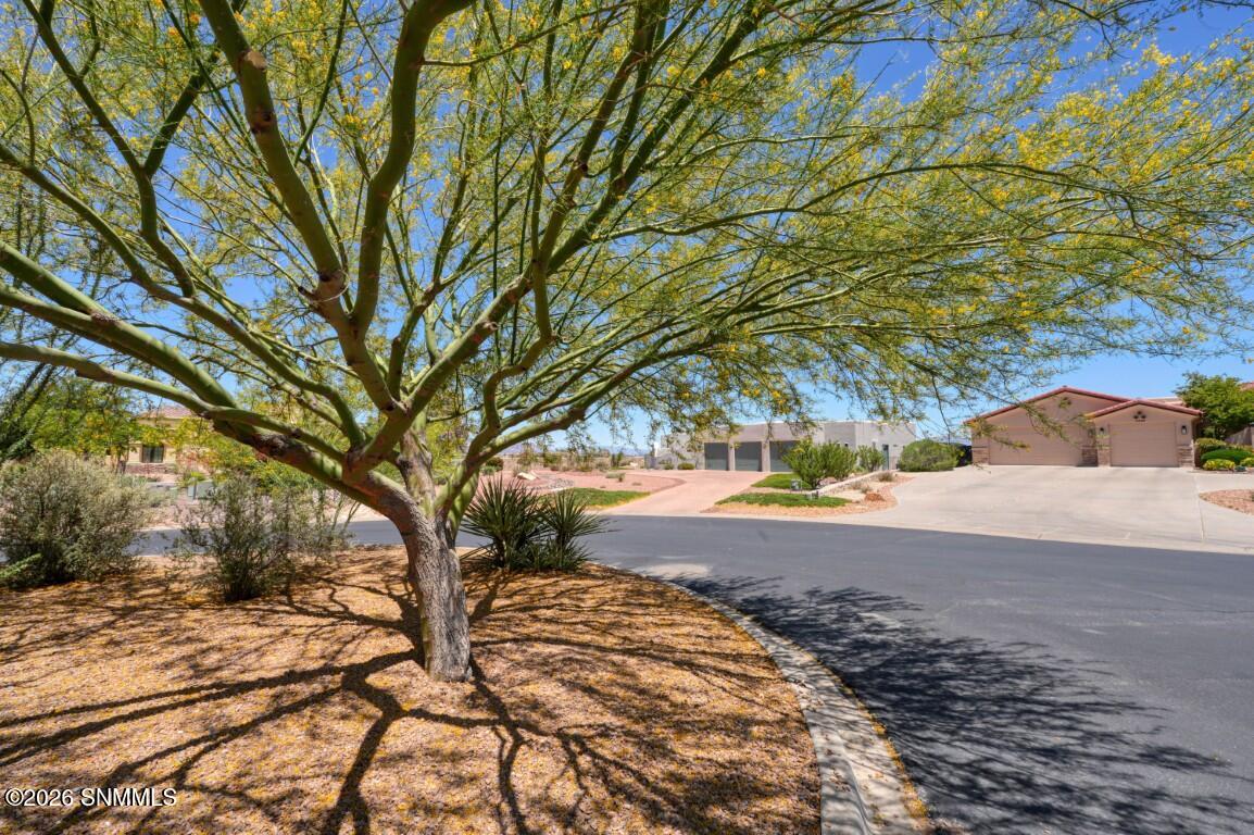 1232 Sonnet Court Property Photo 6