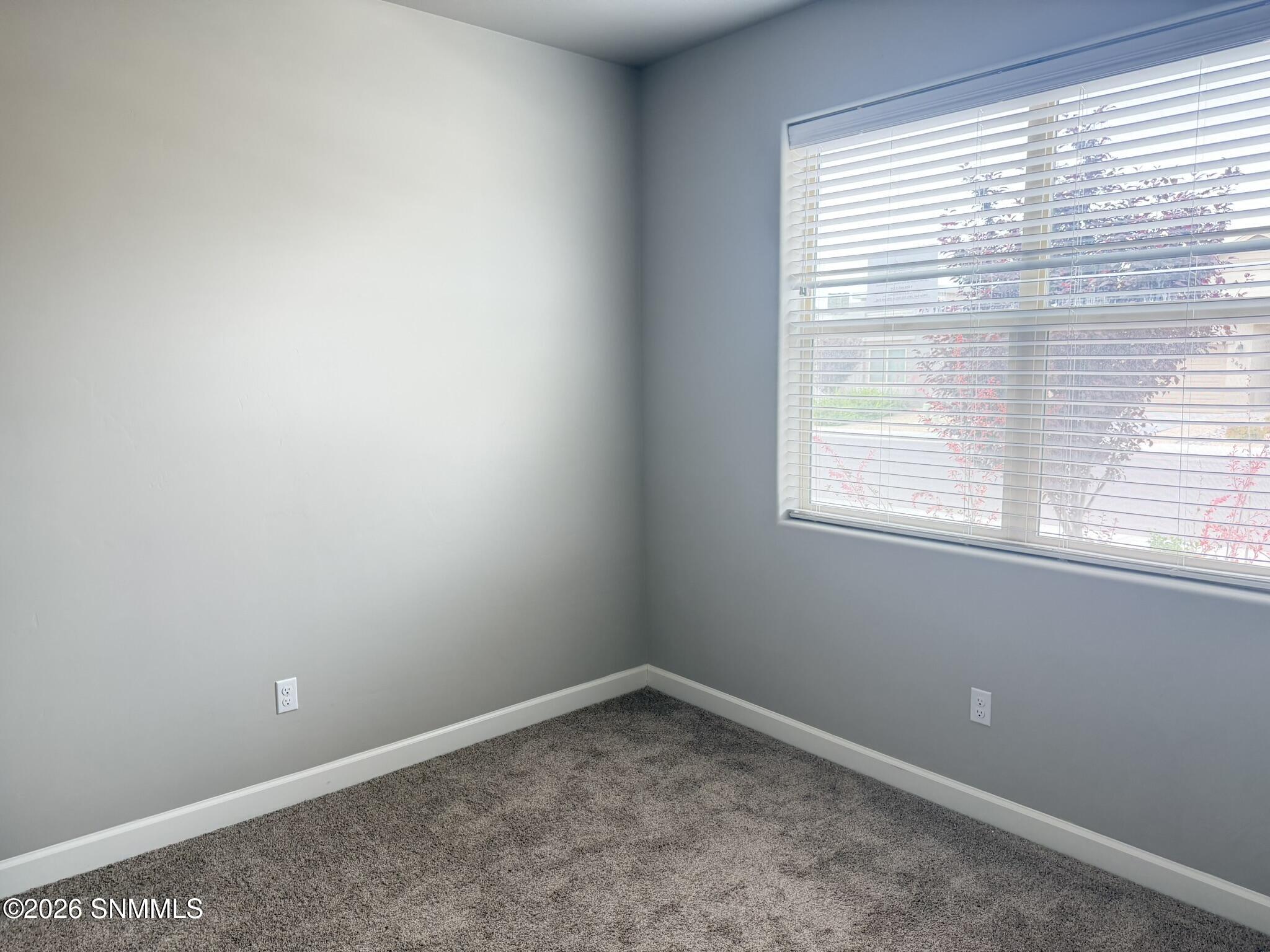 3619 Nightfall Court Property Photo 11