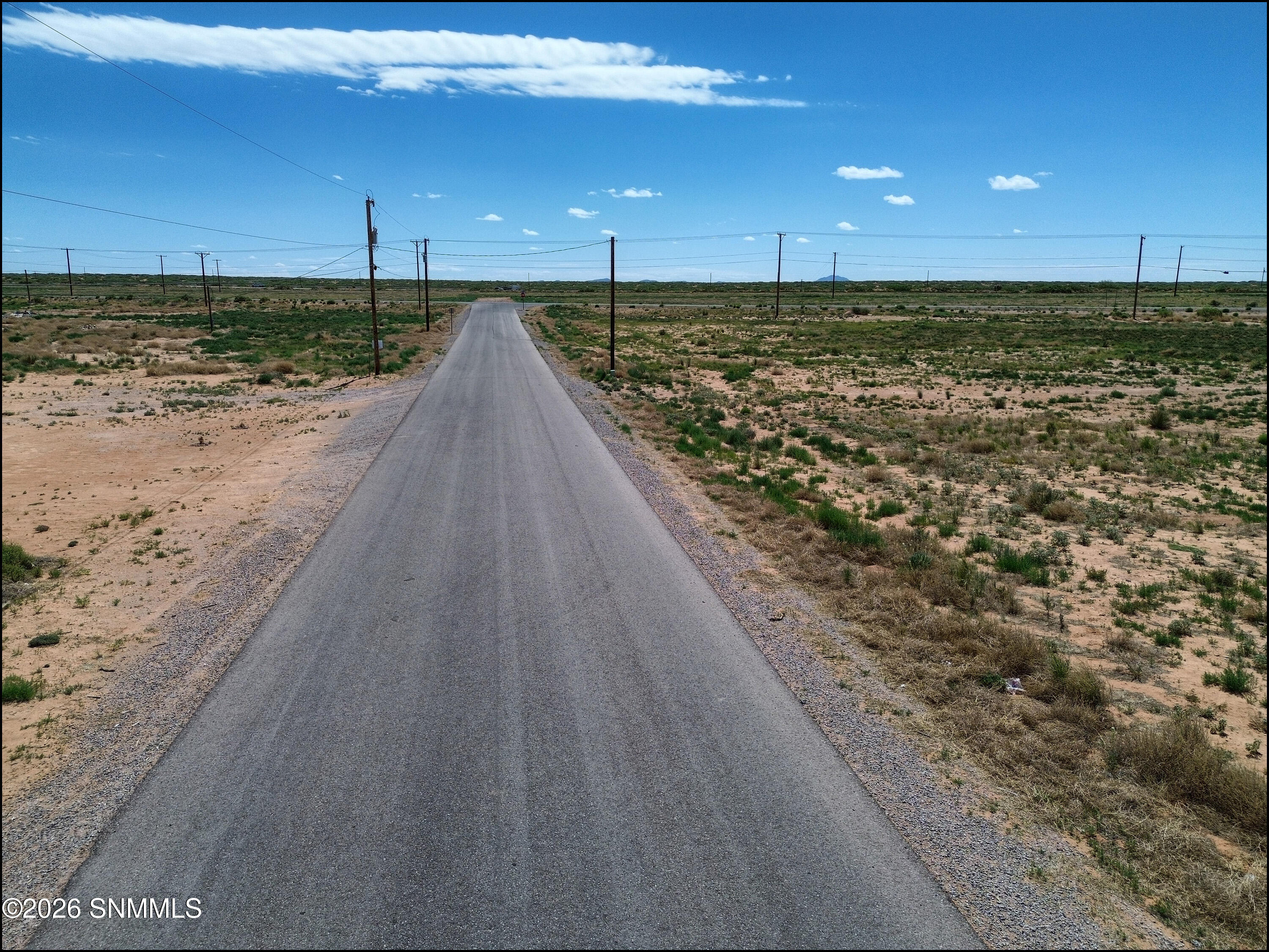 1413 Gobi Desert Drive Property Photo 48