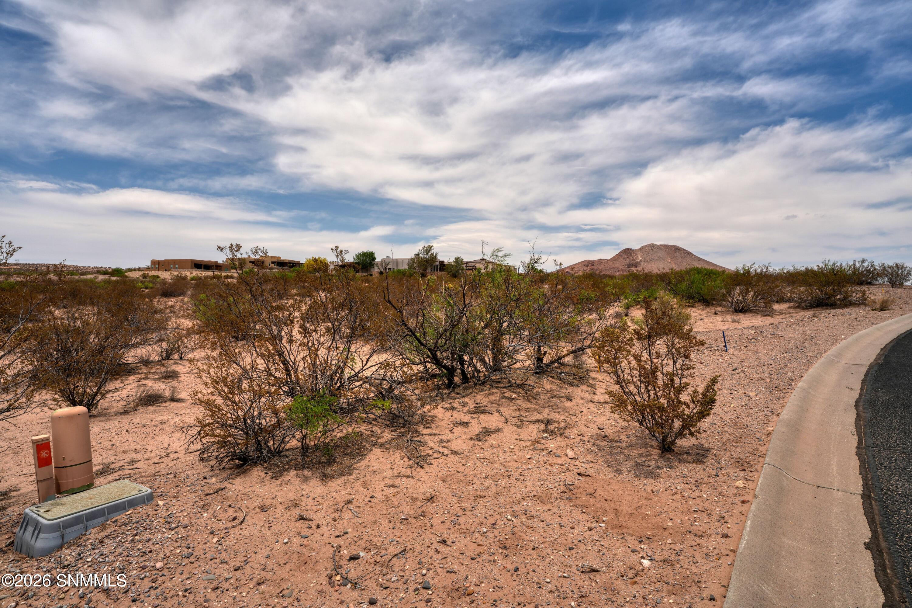 1301 Estancia Real Road Property Photo 15