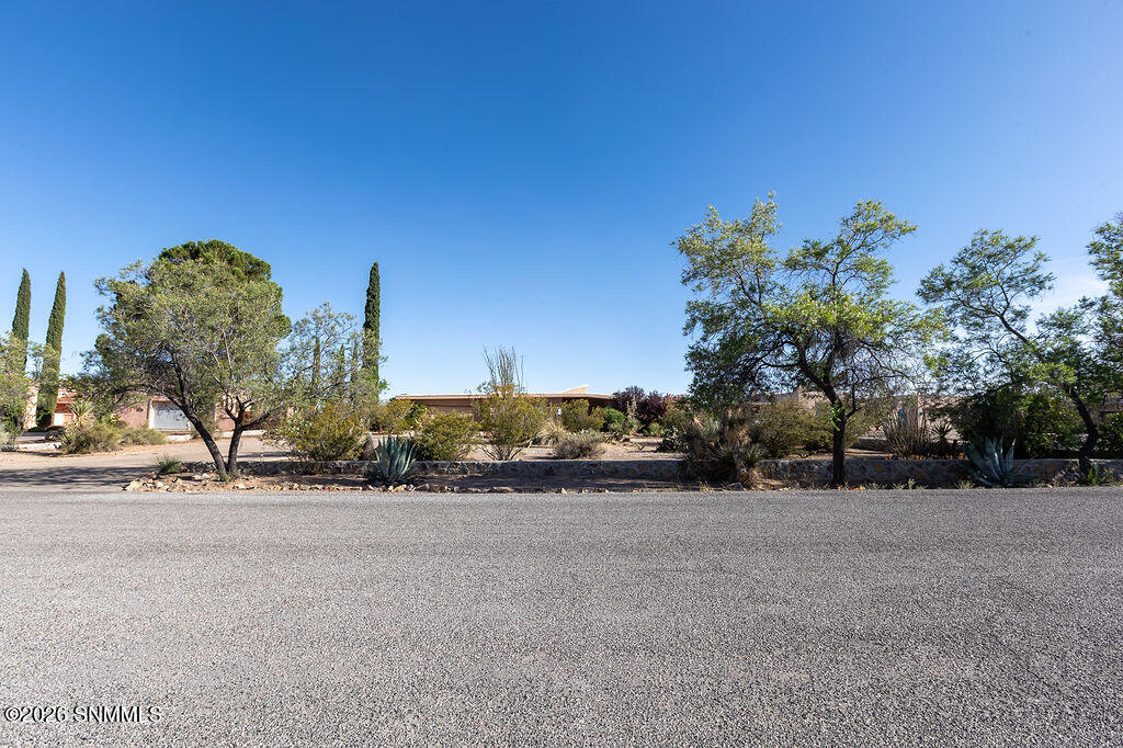 1480 Vista Del Valle Property Photo 3