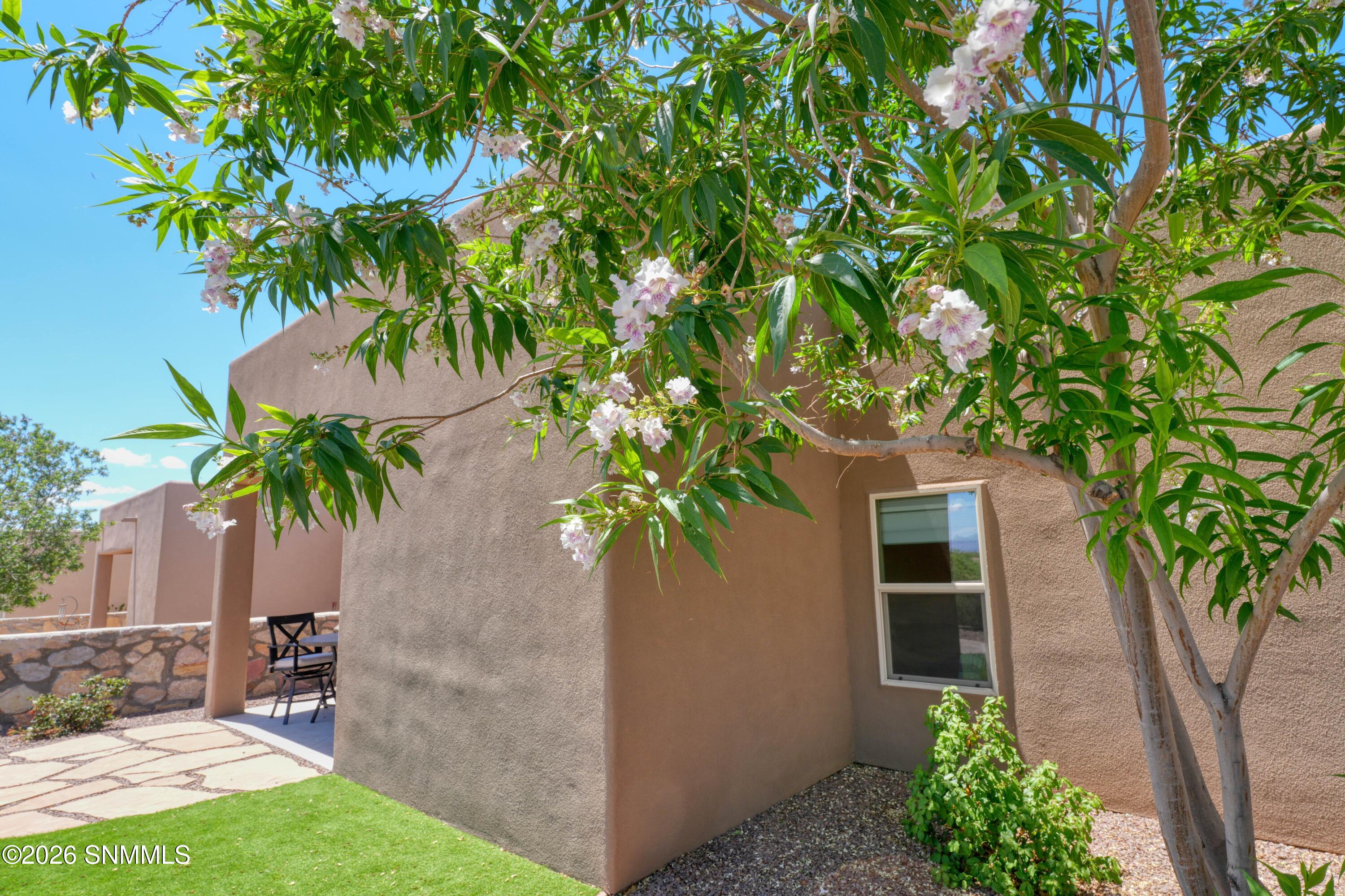 8021 Willow Bloom Circle Property Photo 15