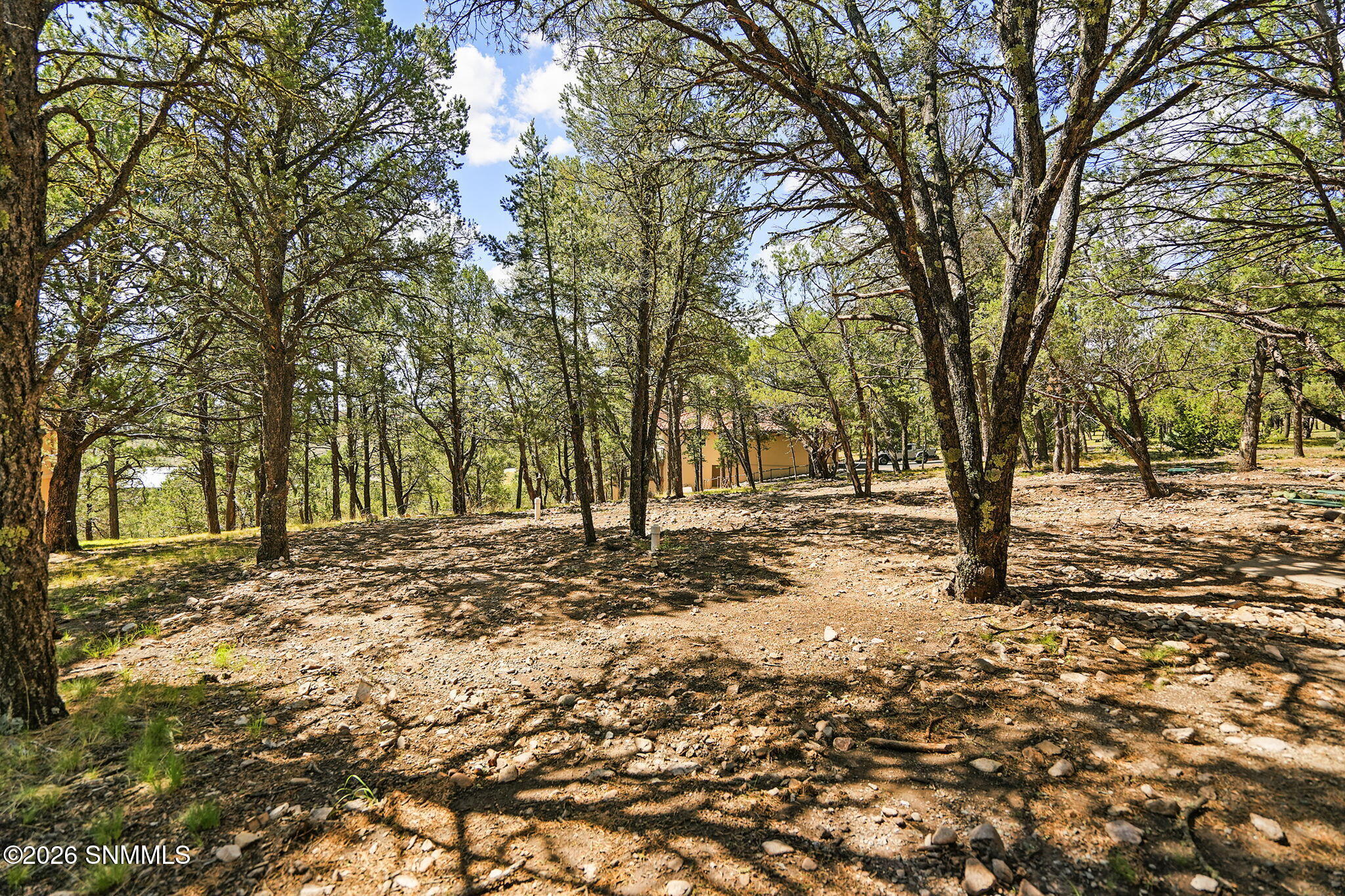 208 Deer Park Drive Property Photo 32