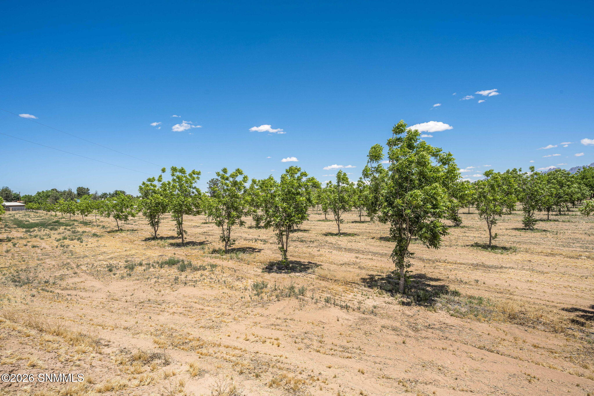 Lot 3 Tbd Old River Road Property Photo 4