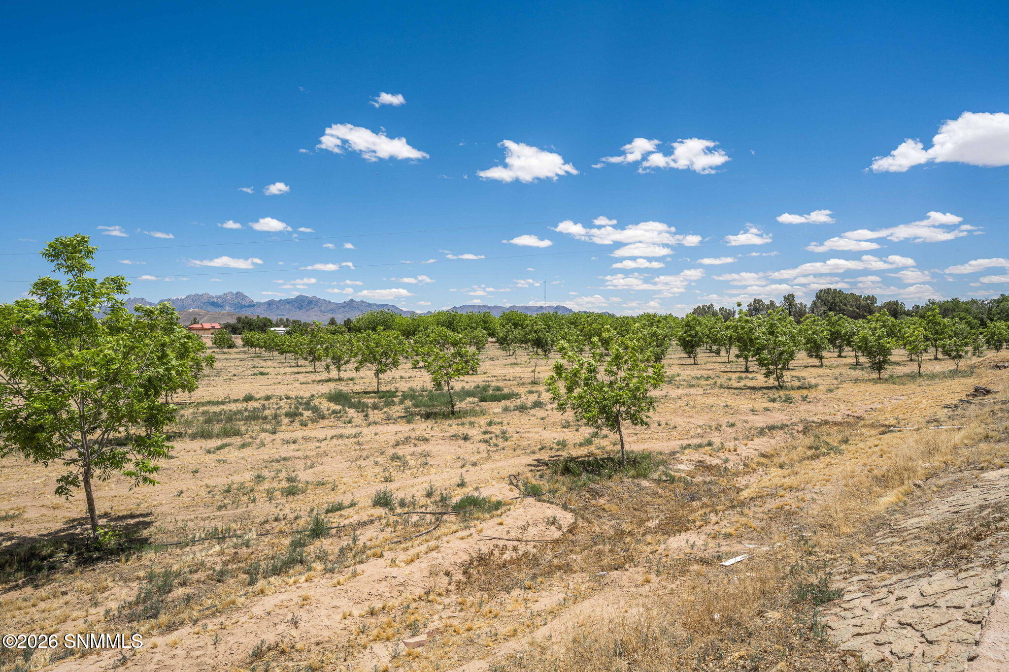 Lot 3 Tbd Old River Road Property Photo 11