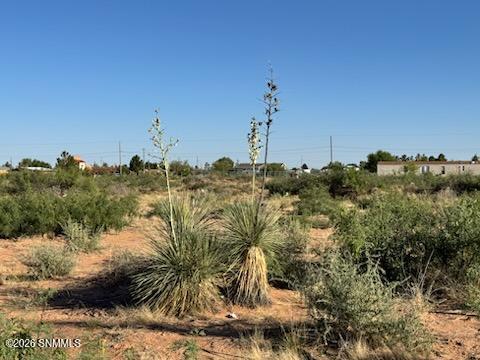 905 Oasis Drive Property Photo 4