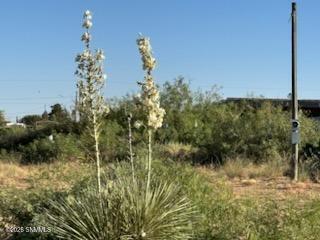 905 Oasis Drive Property Photo 5