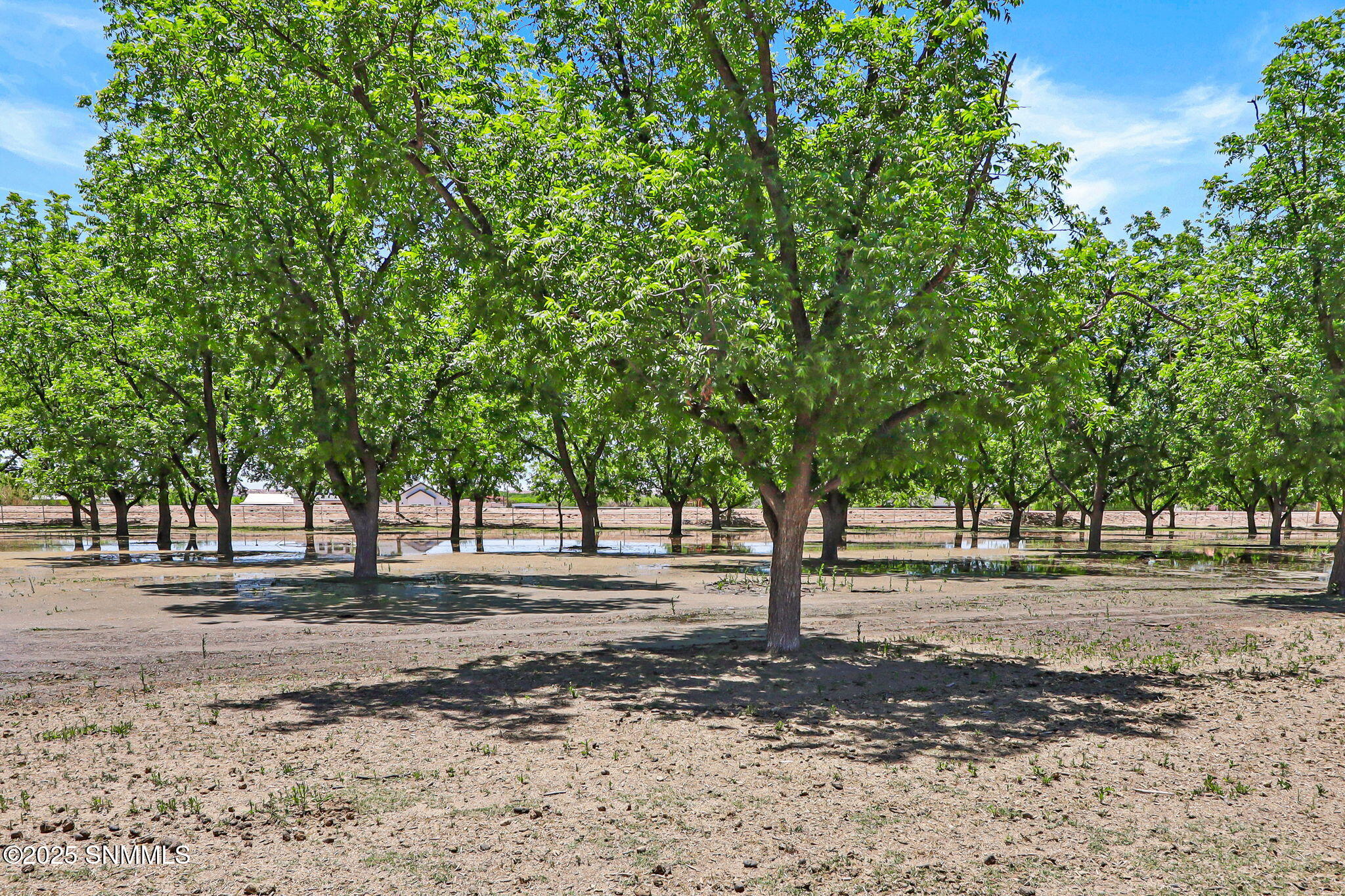 7003 Mcnutt Road Property Photo 85