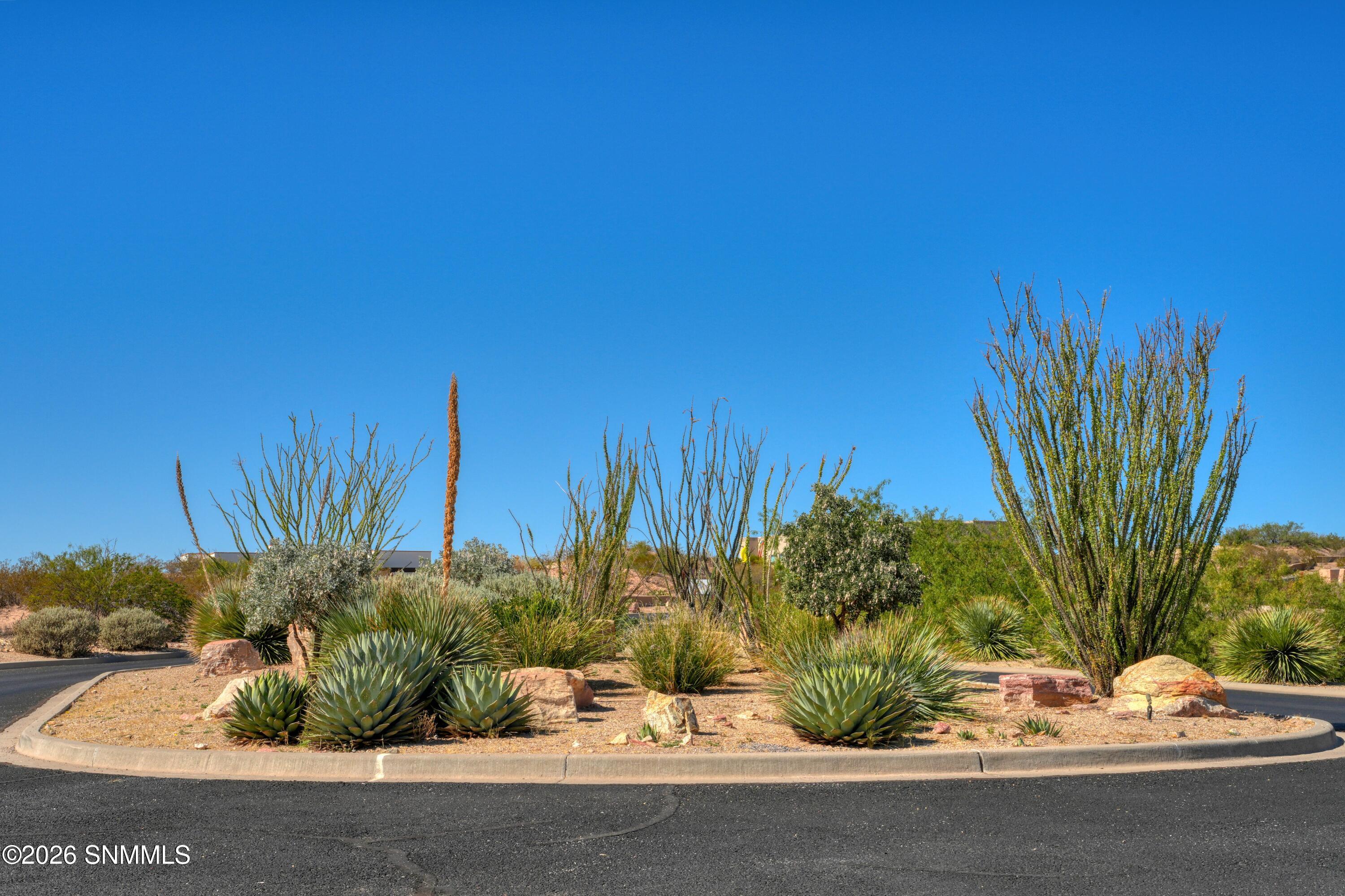 1286 Calle Ventanas Property Photo 10