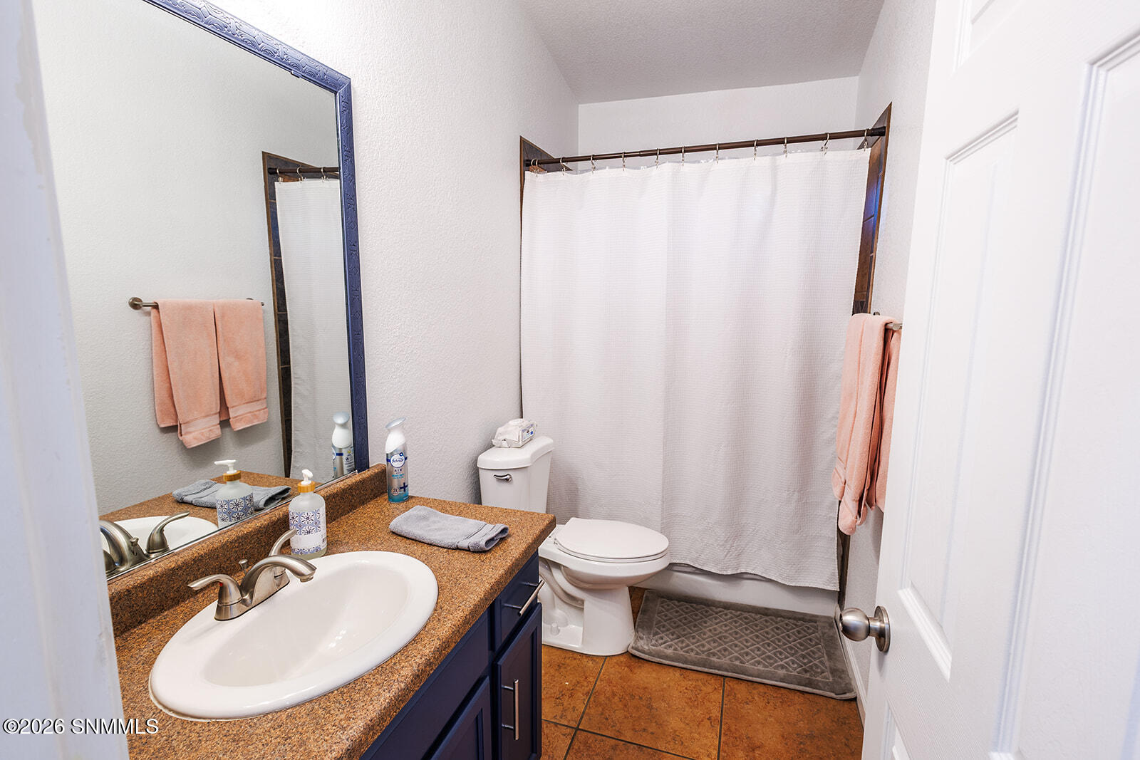 3931 Ramrod Forge Property Photo 24