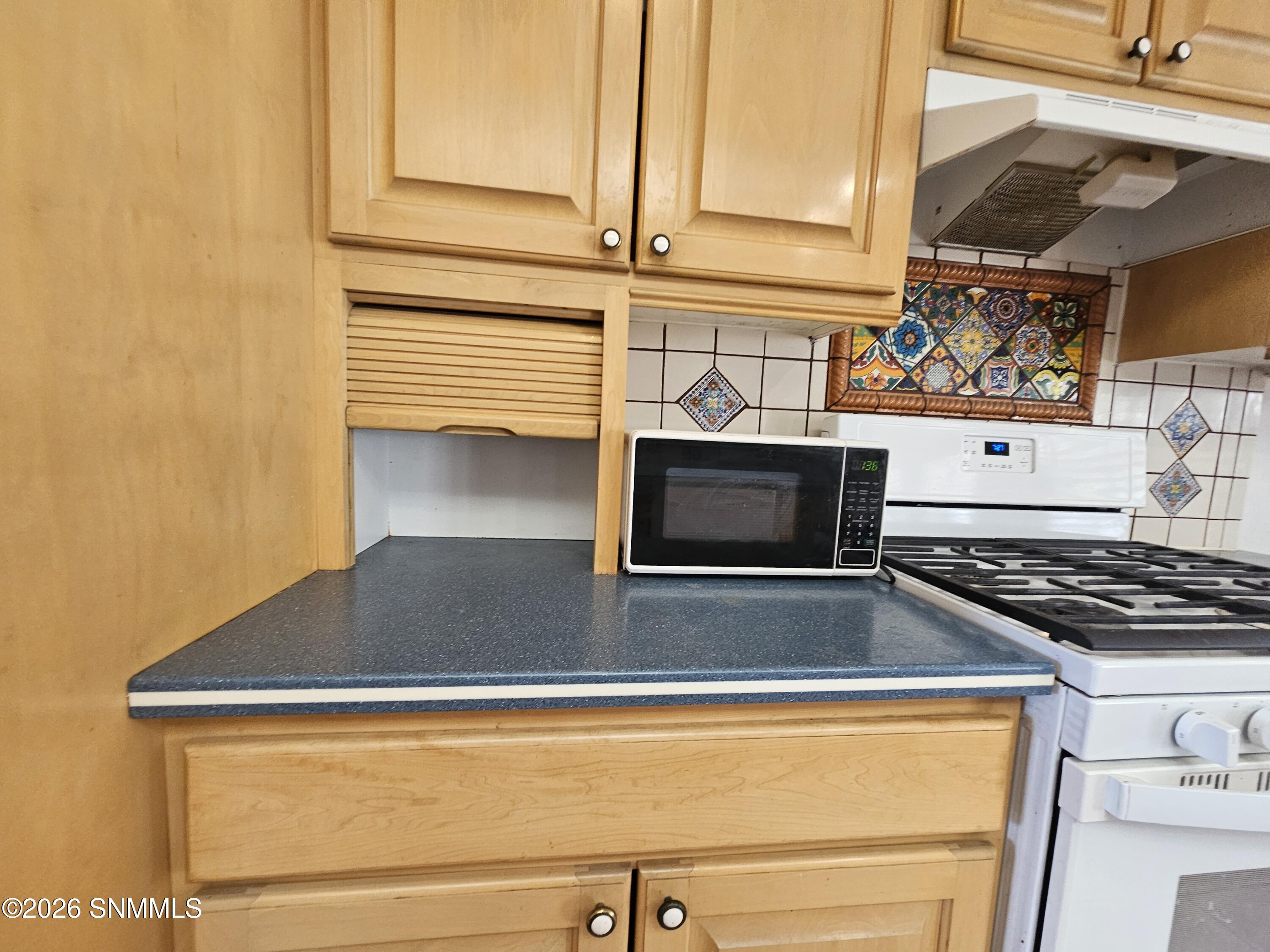 1608 Regal Ridge Property Photo 16