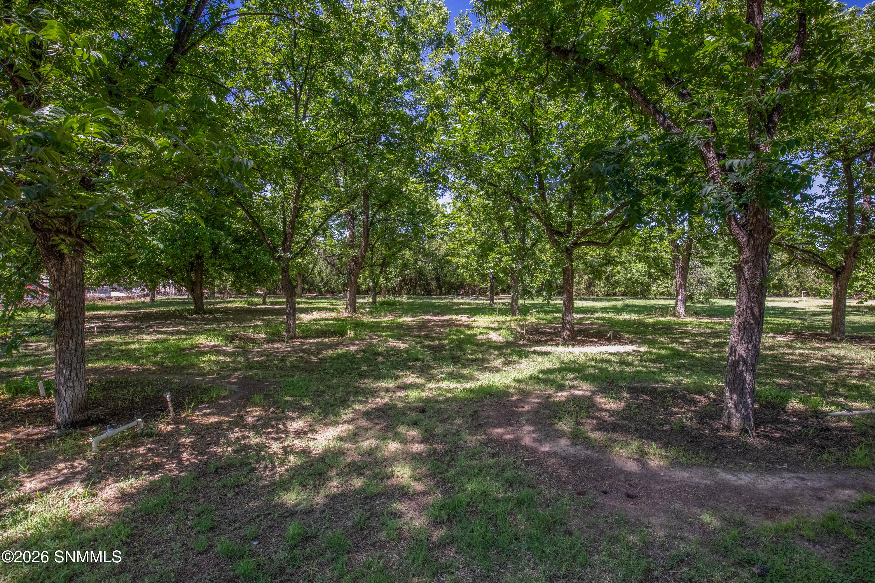 4735 Campbell Road Property Photo 37