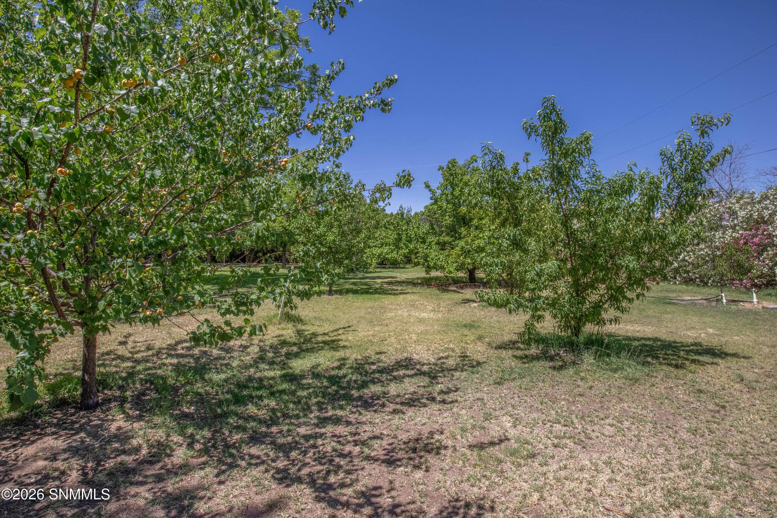 4735 Campbell Road Property Photo 38
