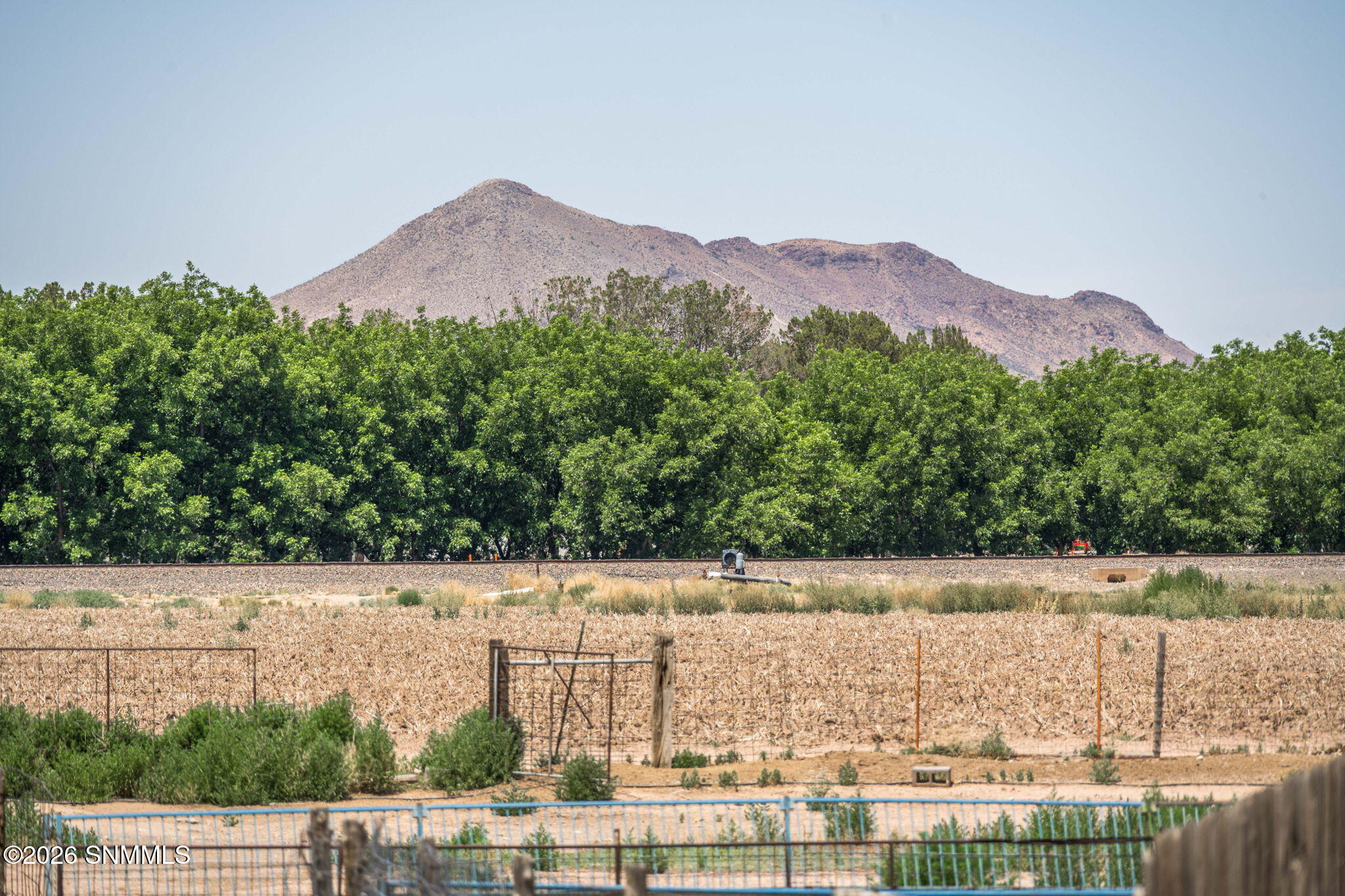 3125 Dona Ana Road Property Photo 45