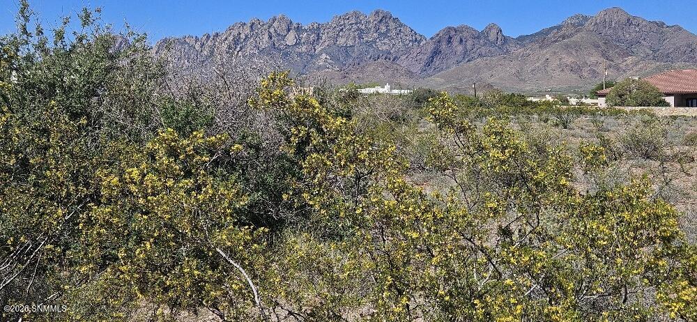 4999 Modoc Road Property Photo 6